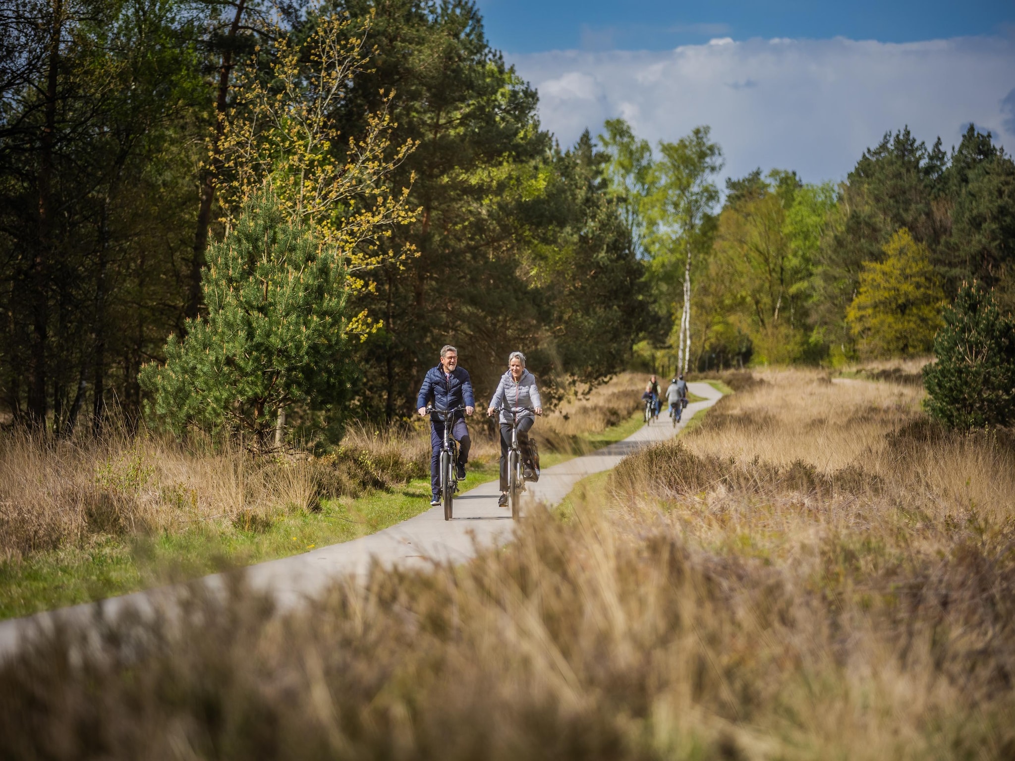 Maison Vakantiepark De Rimboe & De Woeste Hoogte 18