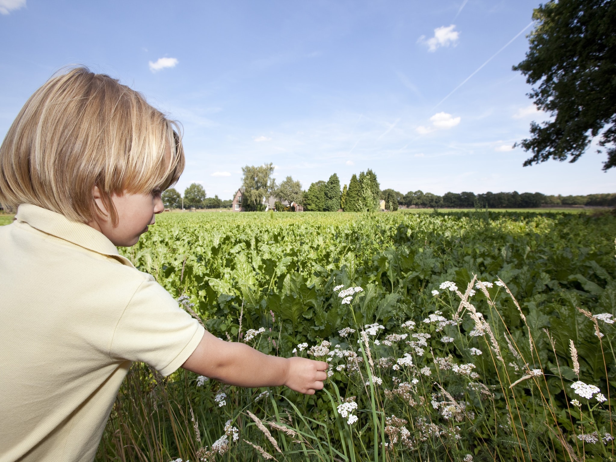   Vakantiepark Hunzedal 15