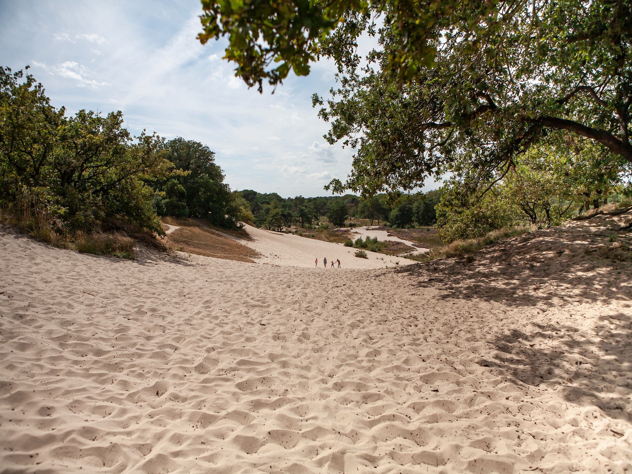   Vakantiepark Sandberghe 12