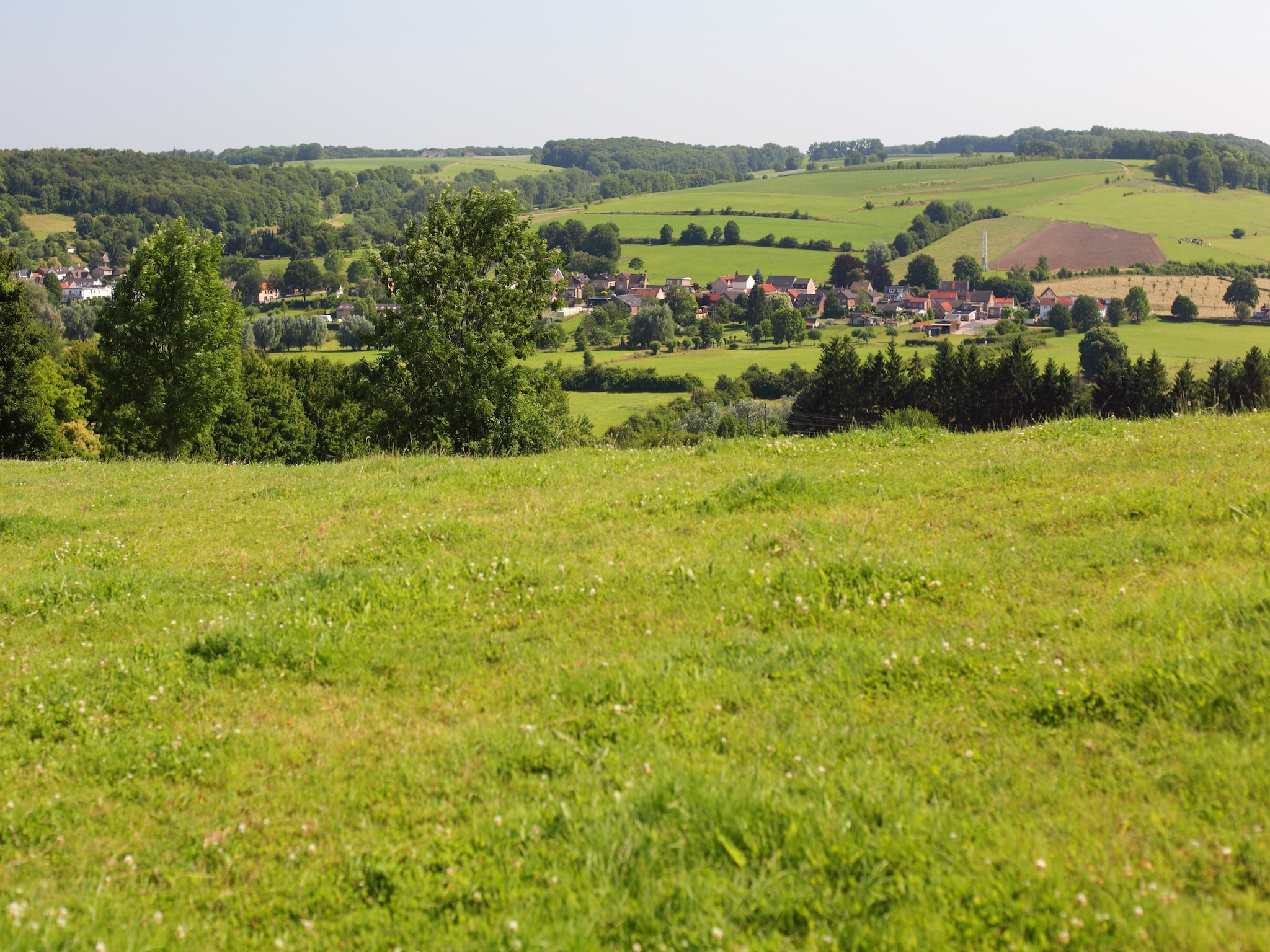 Vacation home Bungalowpark Schin op Geul 15