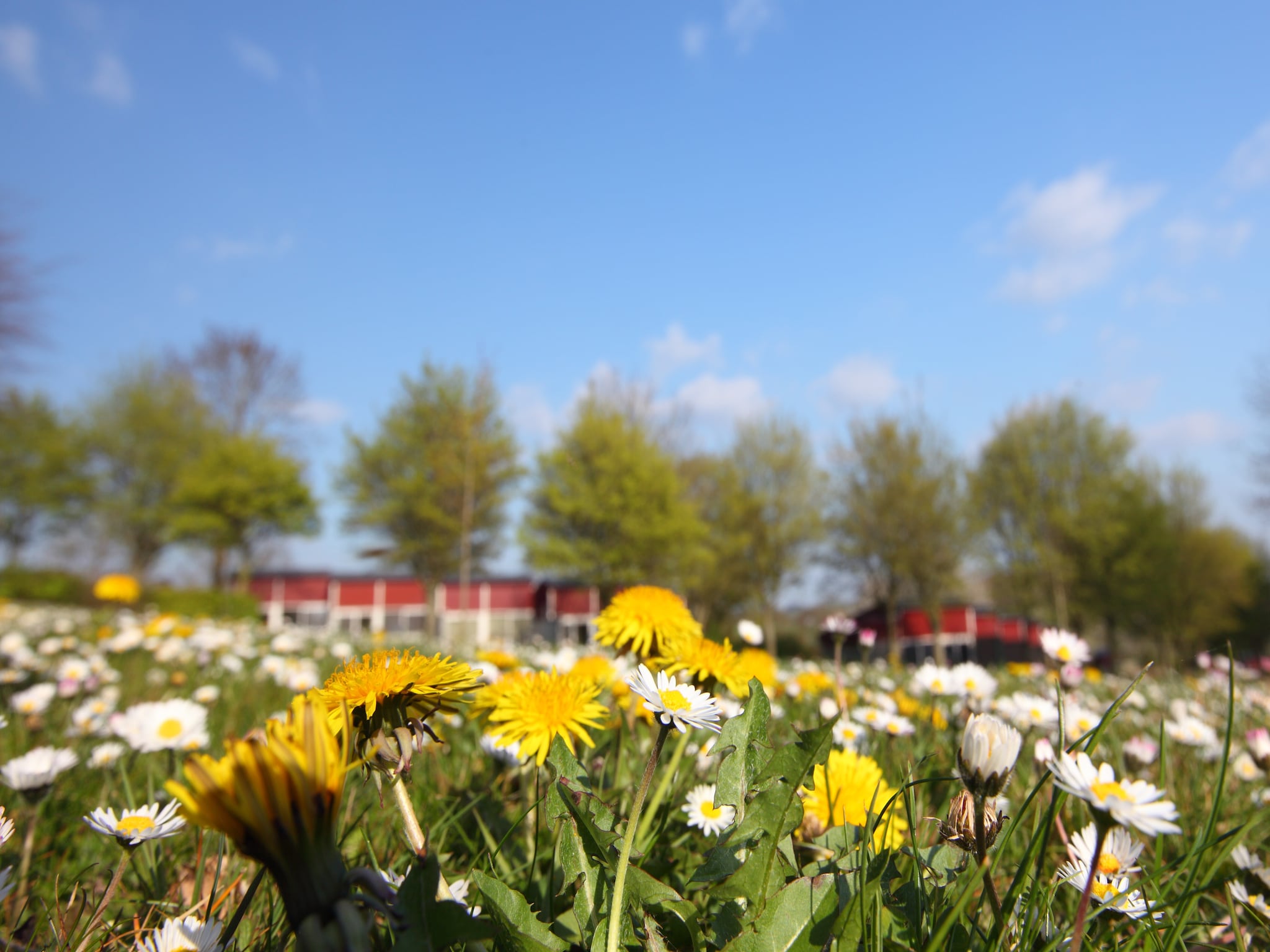 Vacation home Bungalowpark Schin op Geul 15