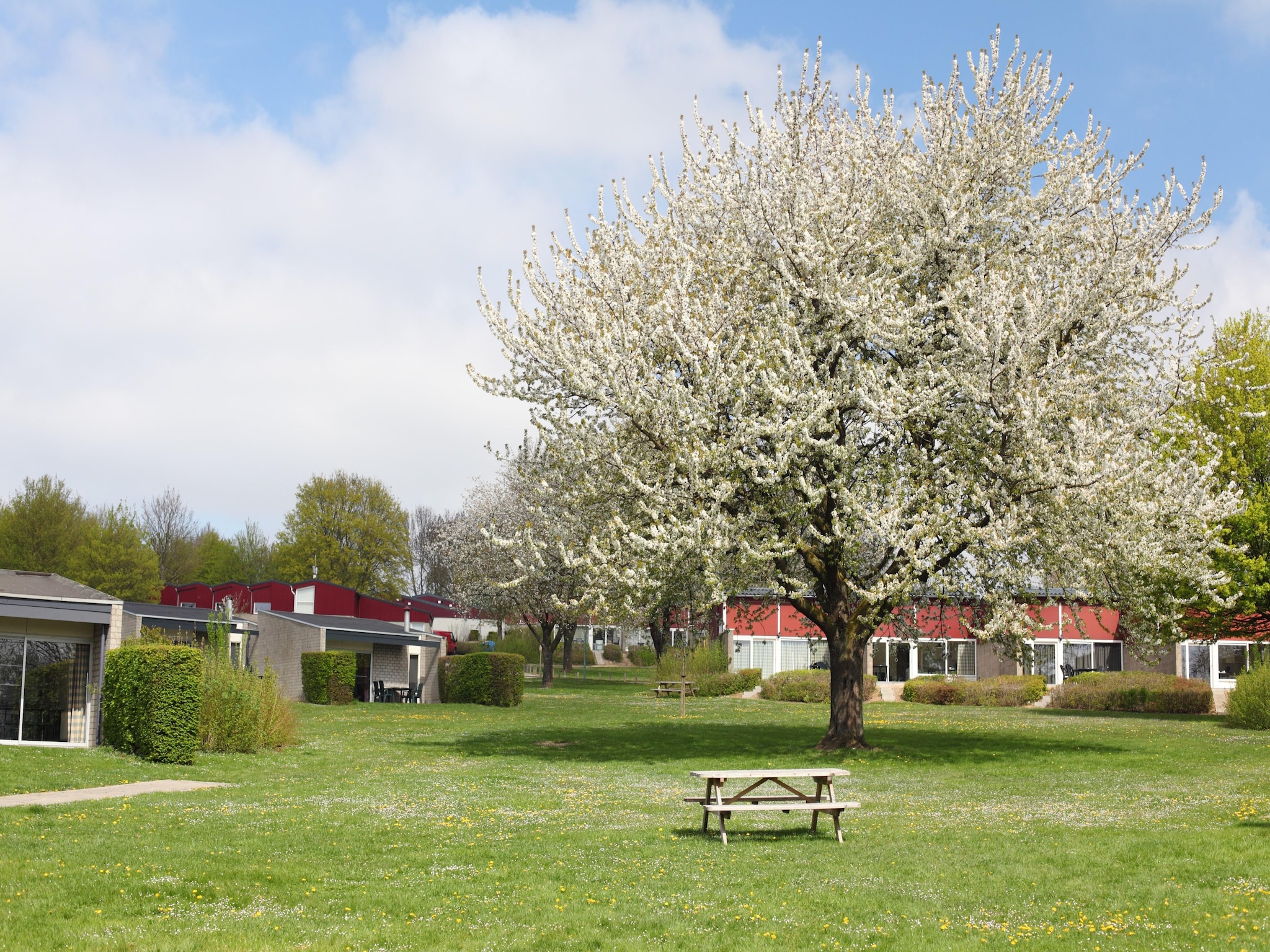 Vacation home Bungalowpark Schin op Geul 15