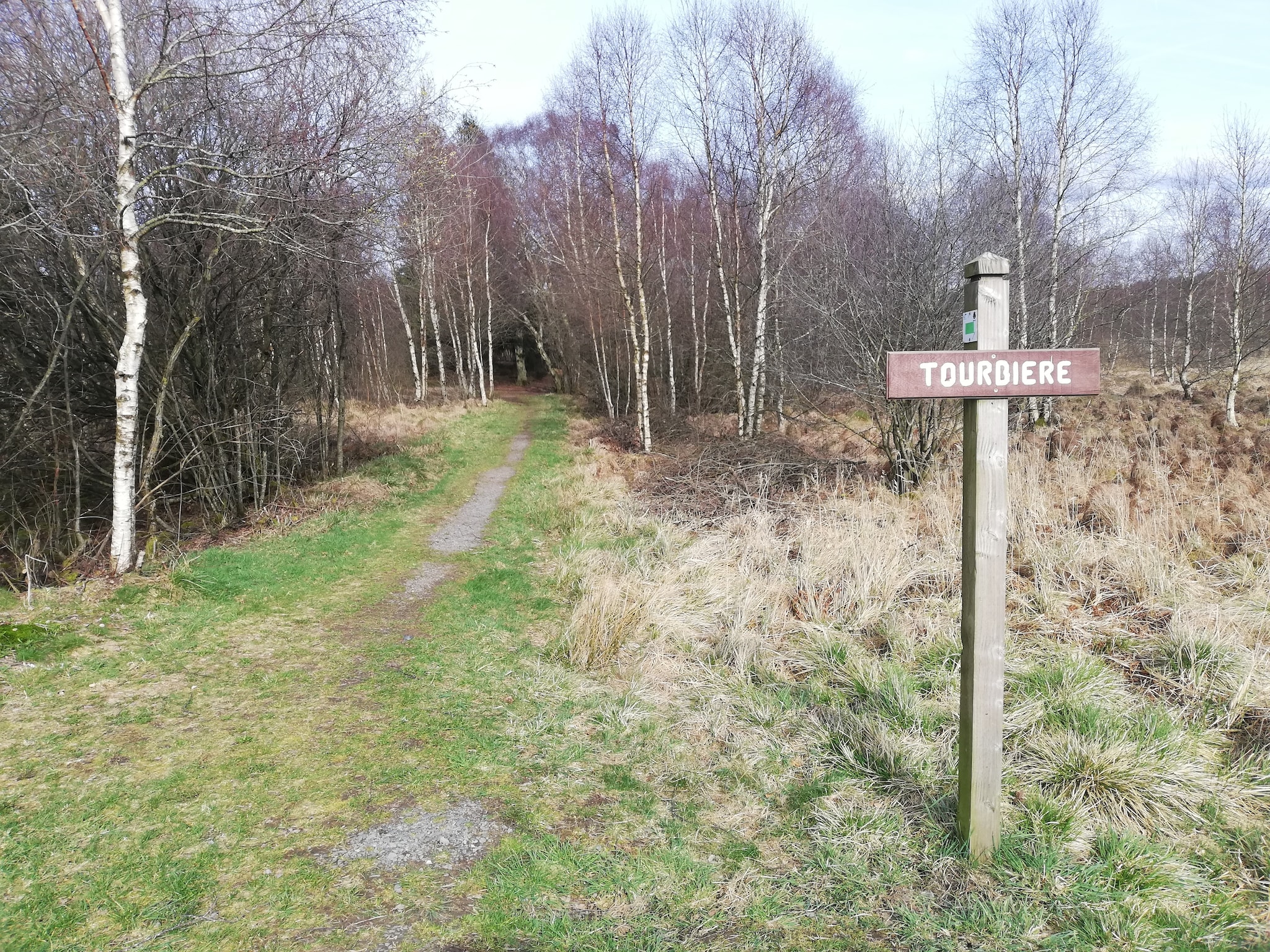   Le Coeur Des Fagnes