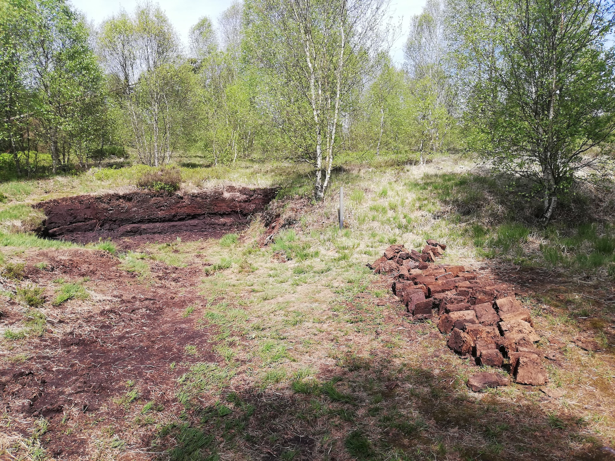   Le Coeur Des Fagnes