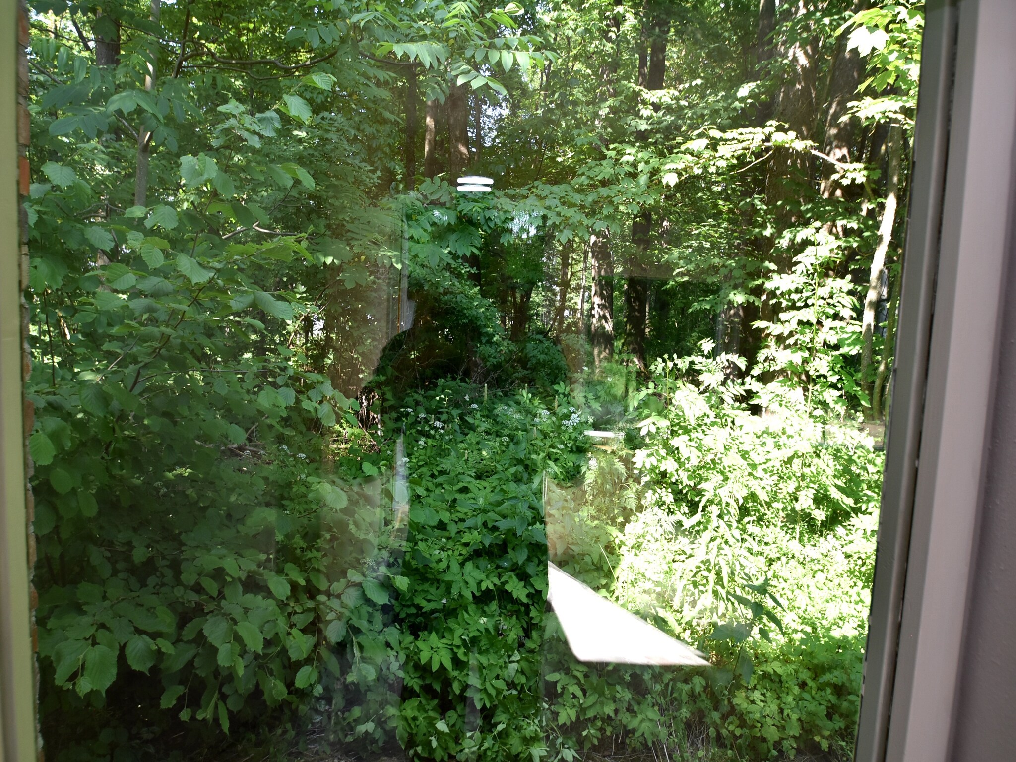   Königspfalzblick