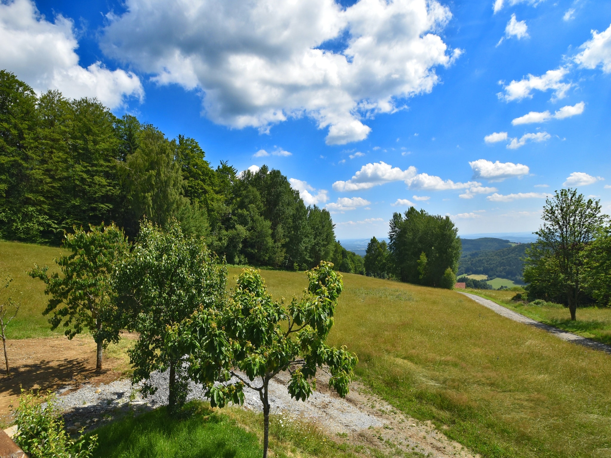 Ferienwohnung Sonnenwald