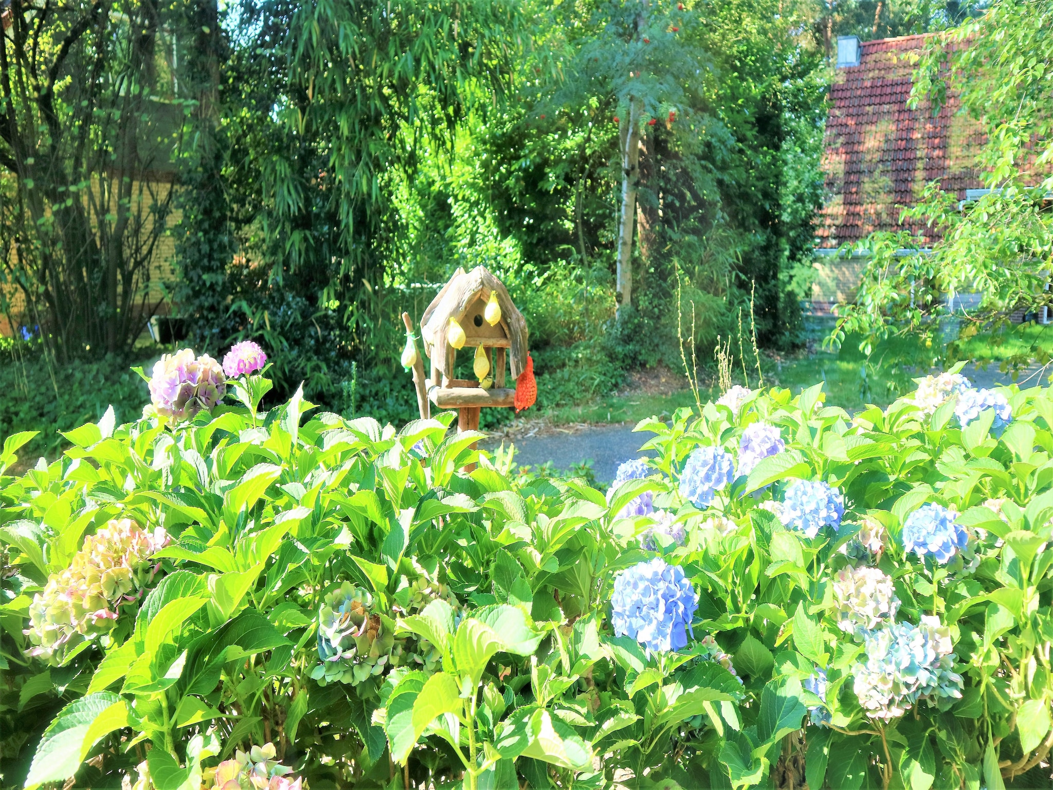   Buitenplaats Berg en Bos nr 50