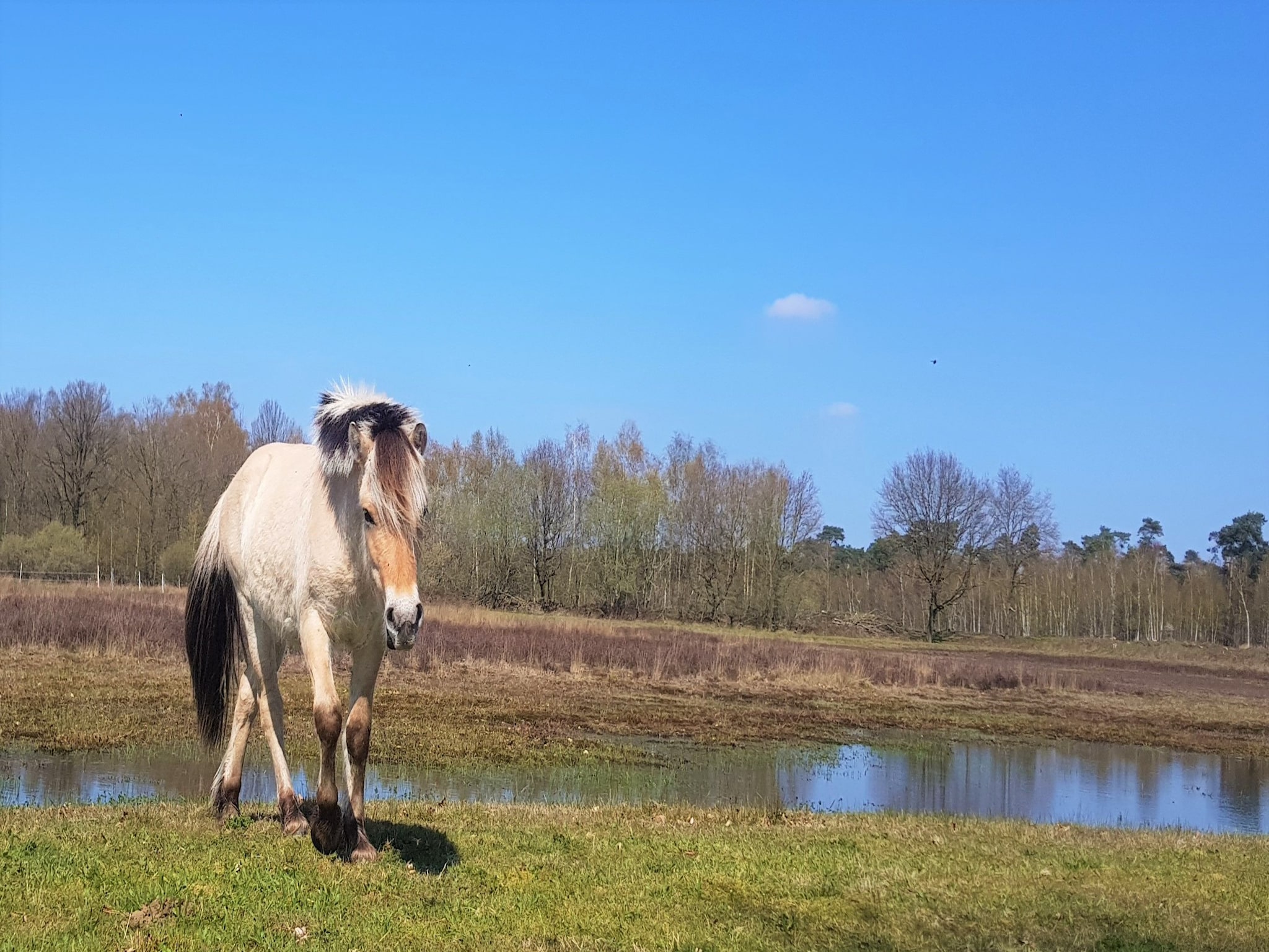   Parc de Kievit 15