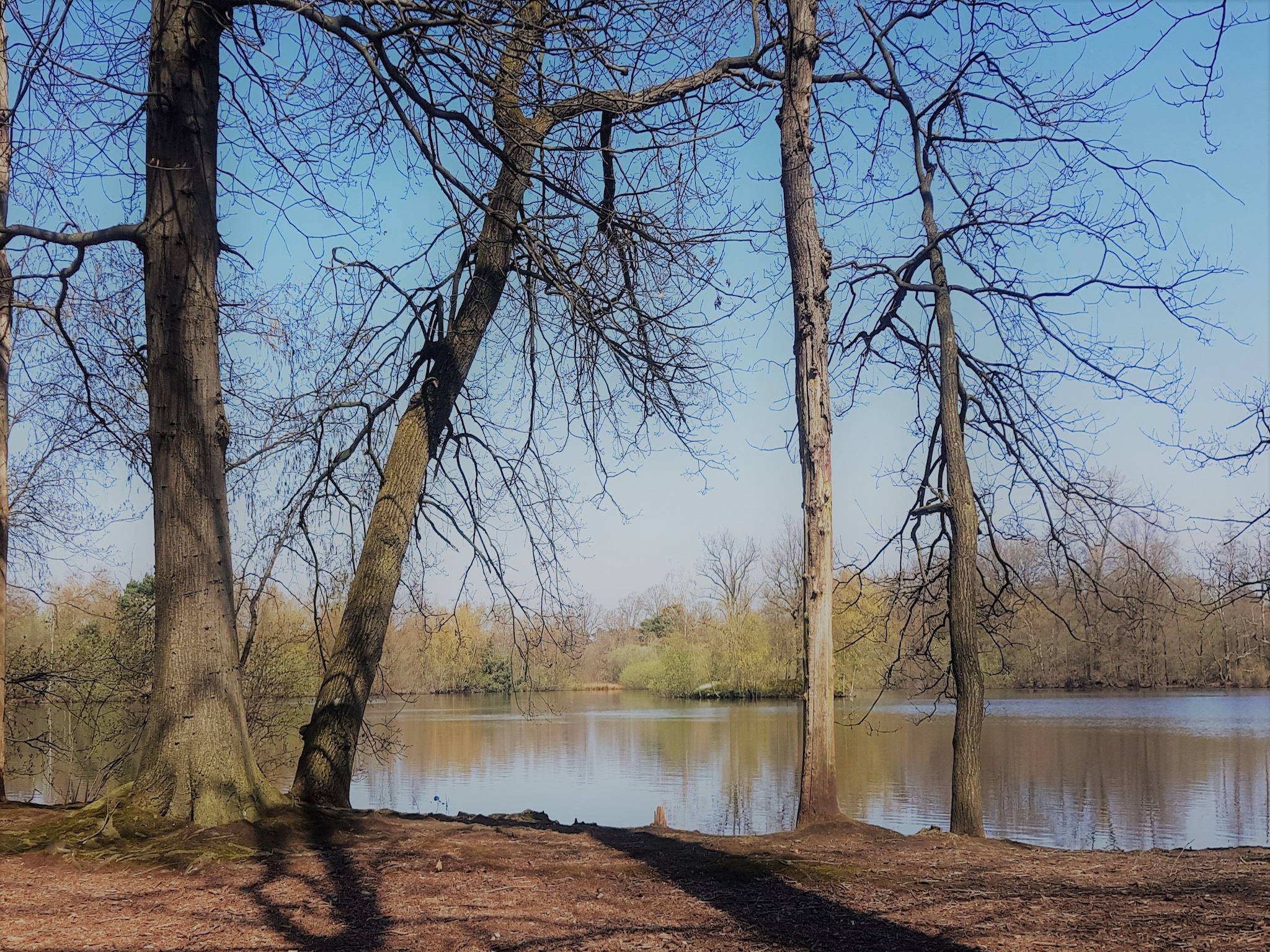   Parc de Kievit 15