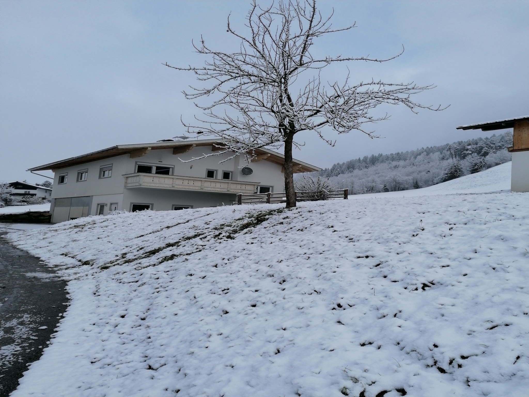   Steinachhof