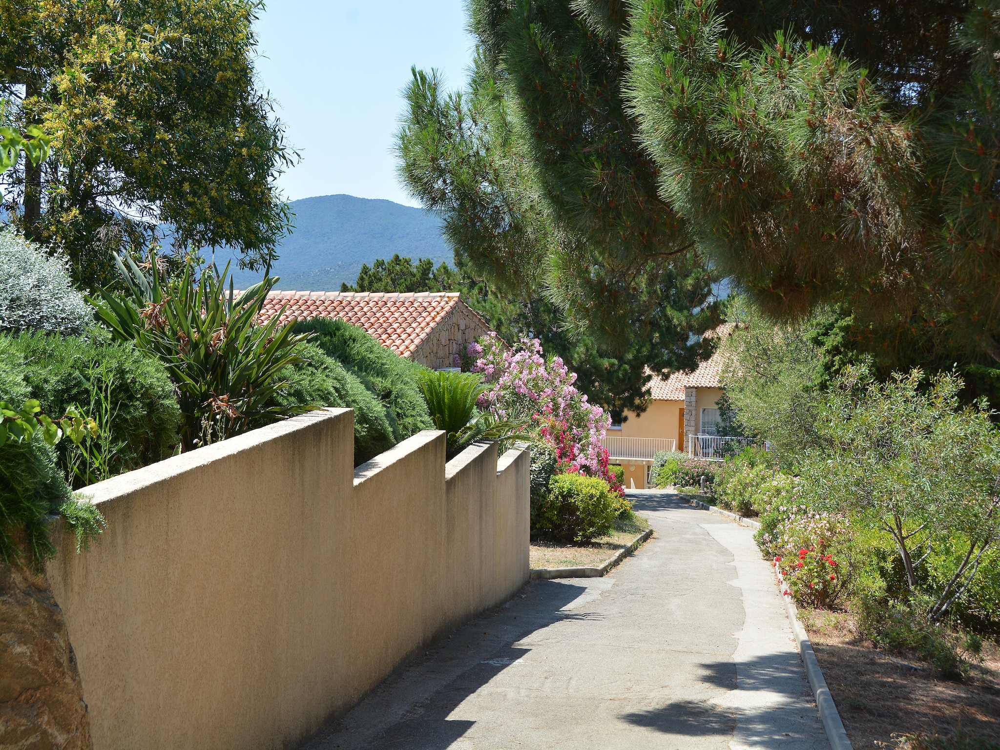   Residence Alba Rossa Serra-di-Ferro // Villa 1 Cha