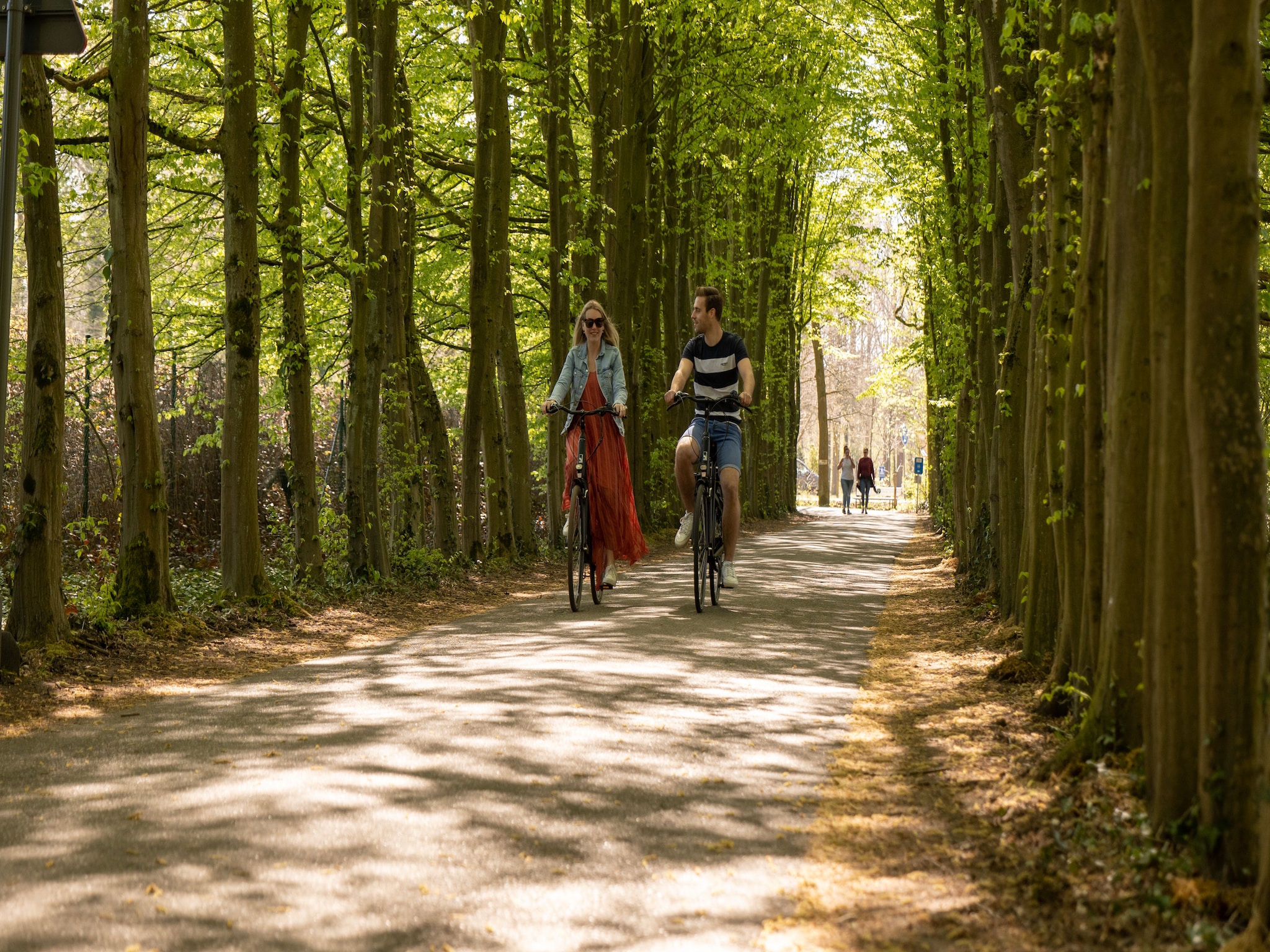 Ferienhaus Resort Hoge Kempen 3