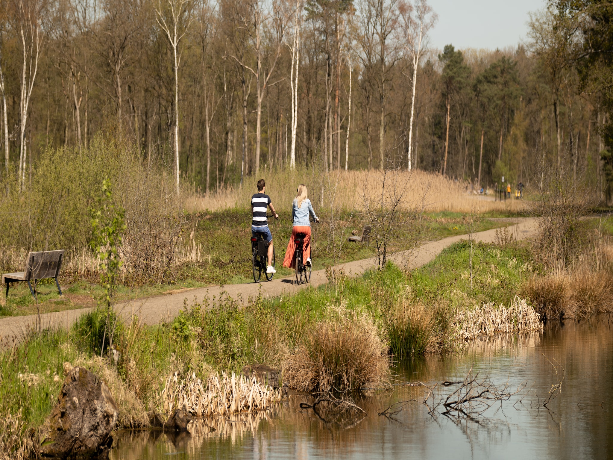 Ferienhaus Resort Hoge Kempen 3