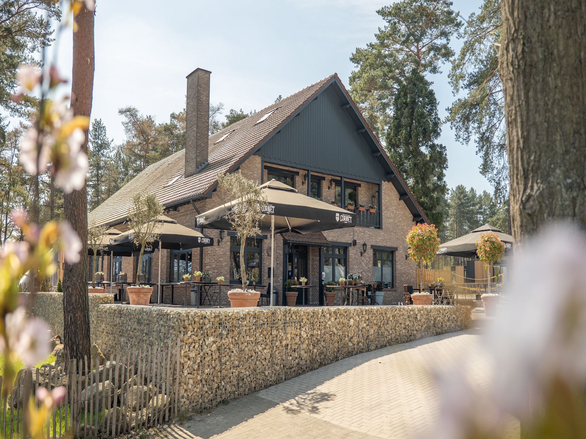 Ferienhaus Resort Hoge Kempen 3