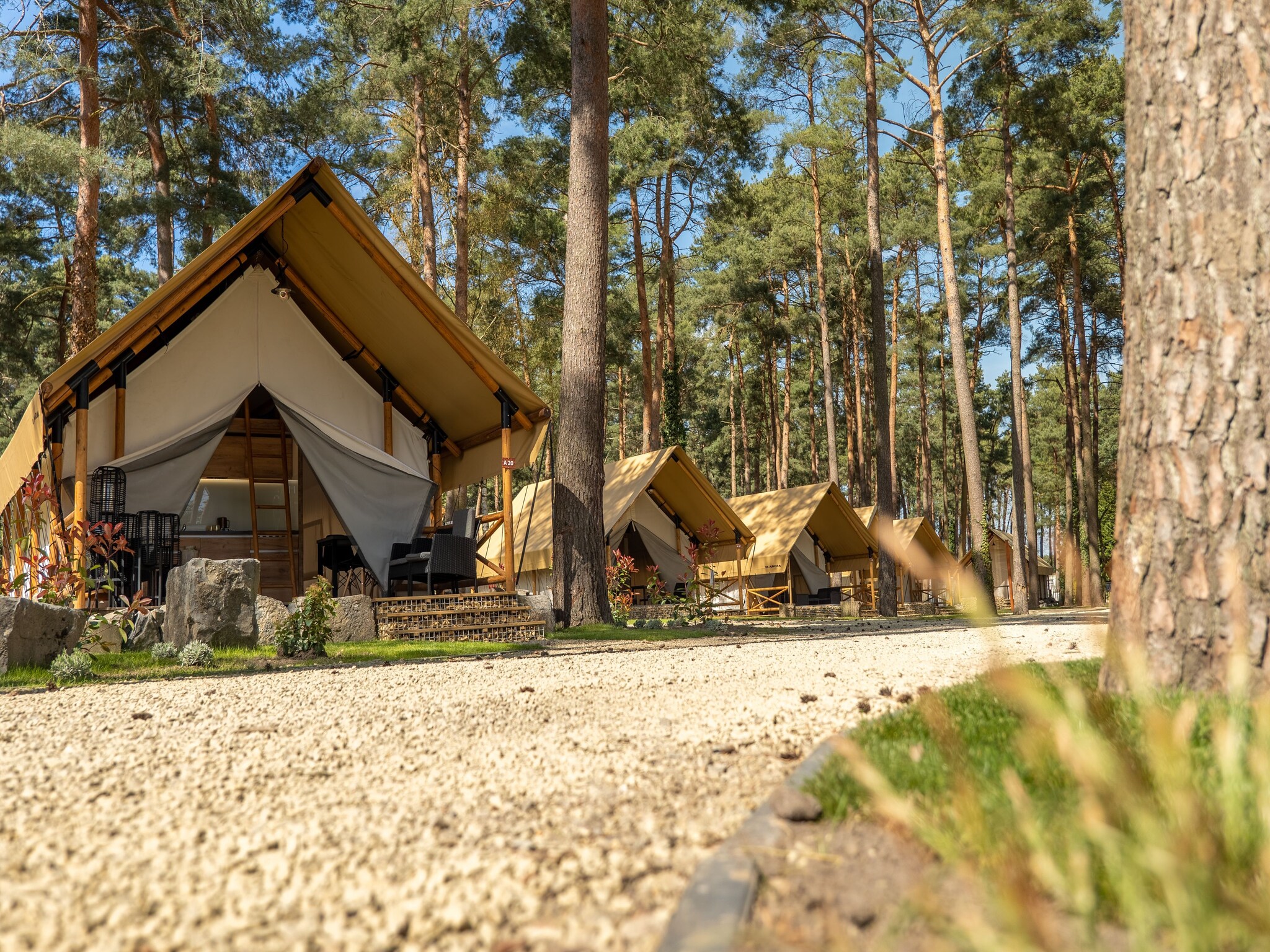   Resort Hoge Kempen 4