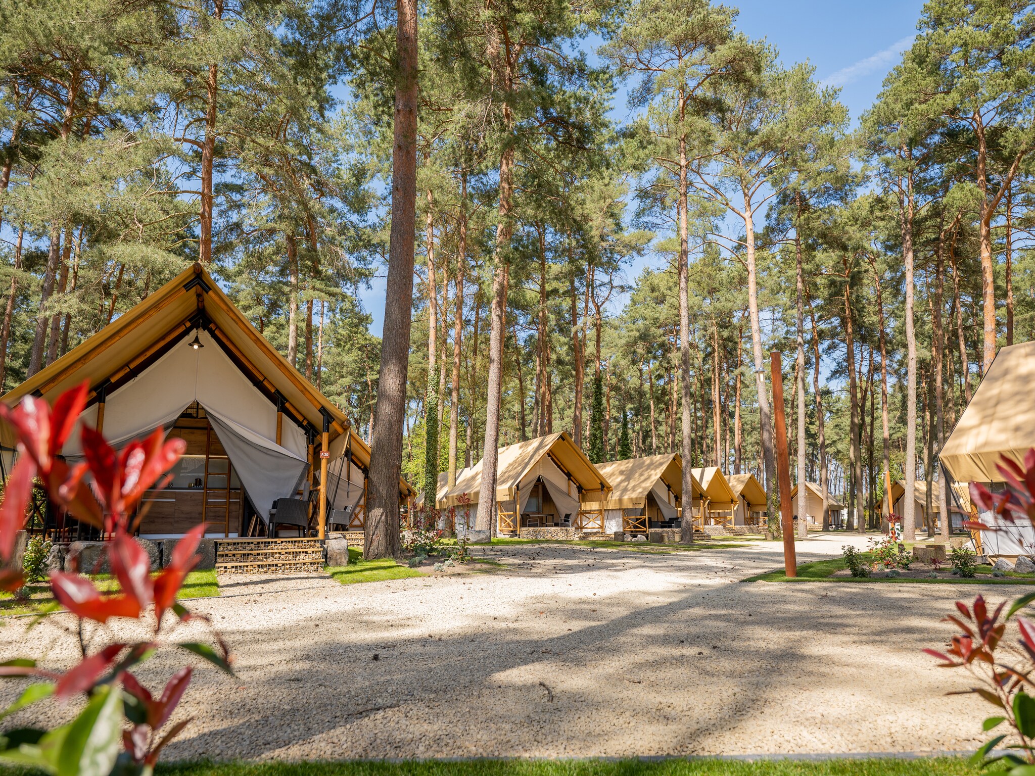   Resort Hoge Kempen 4