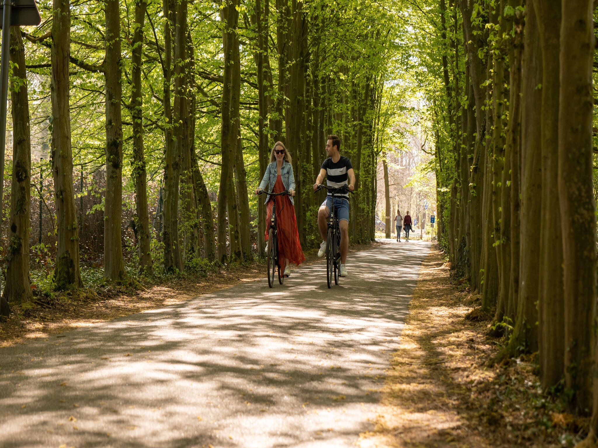   Resort Hoge Kempen 4