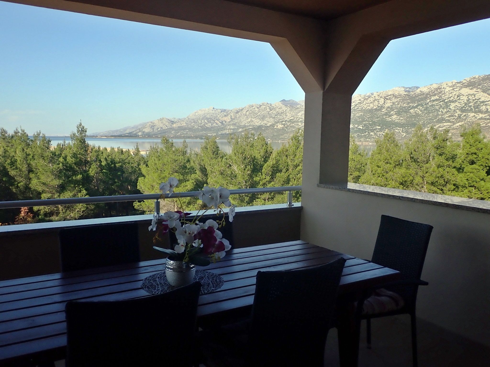 Apartmá Holiday flat Dane Jasenice-Rovanjska SD-137 A-02 1