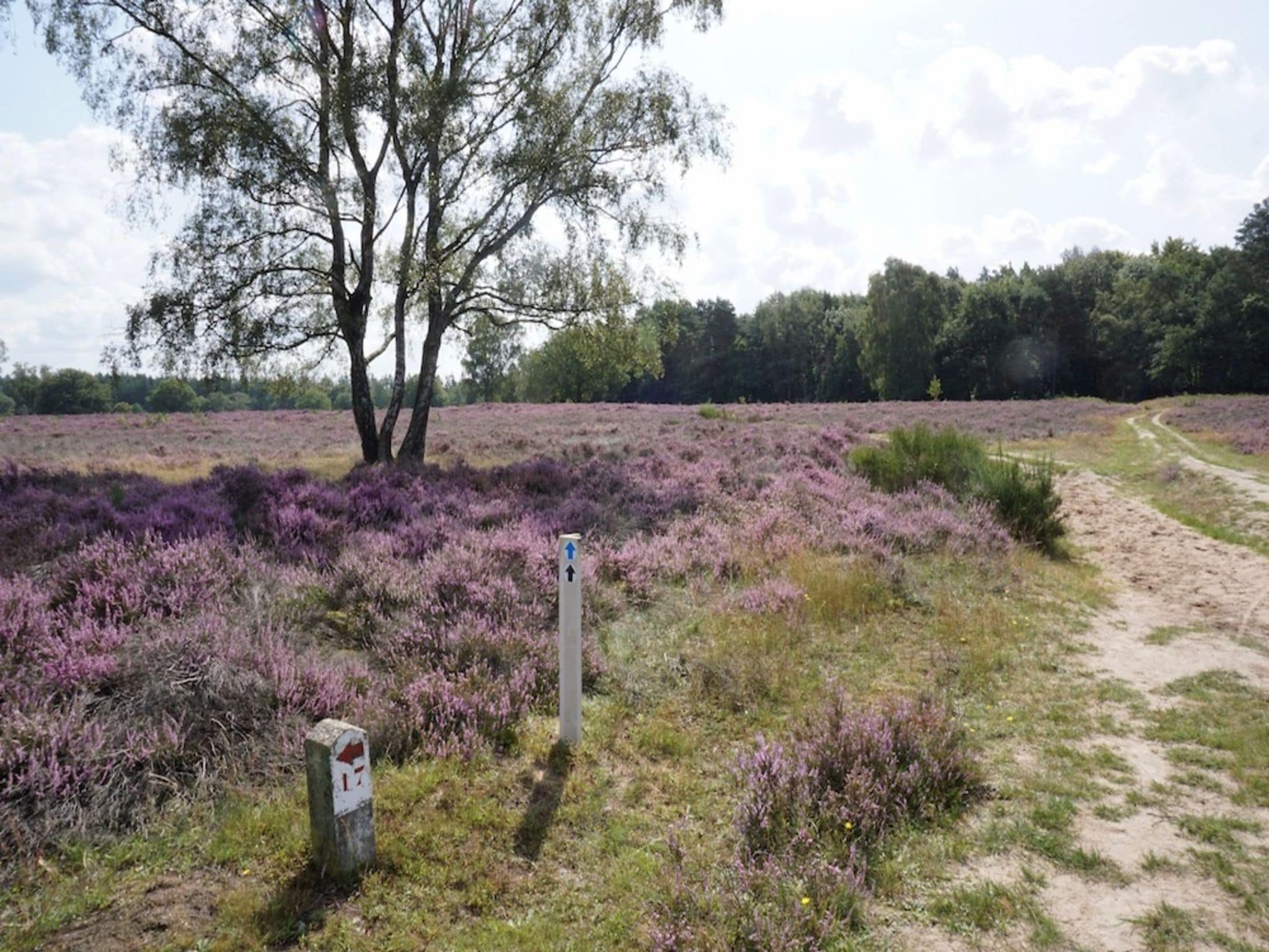   Buitenplaats Berg en Bos nummer 4