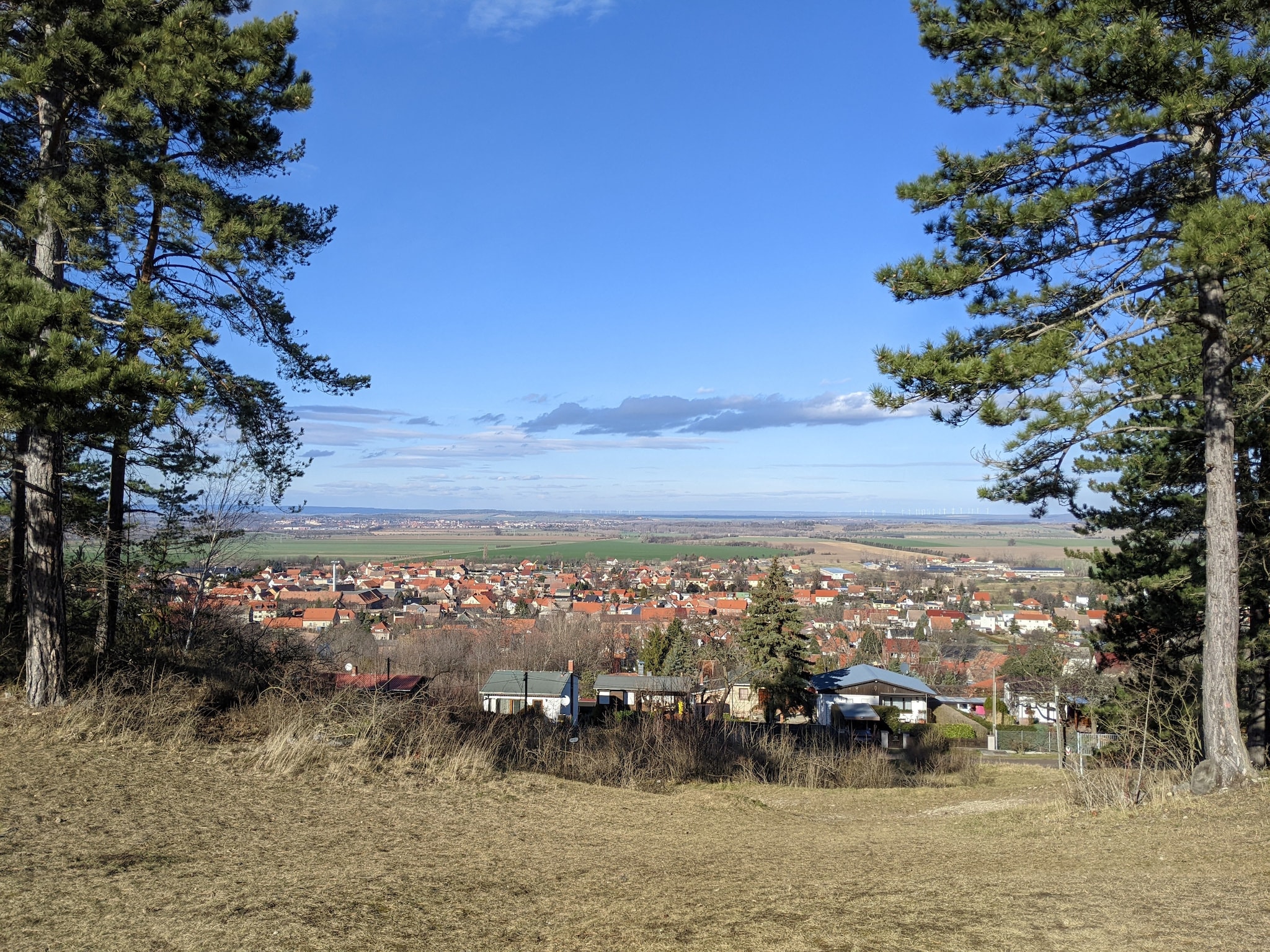   Ferienhaus Ballenstedt