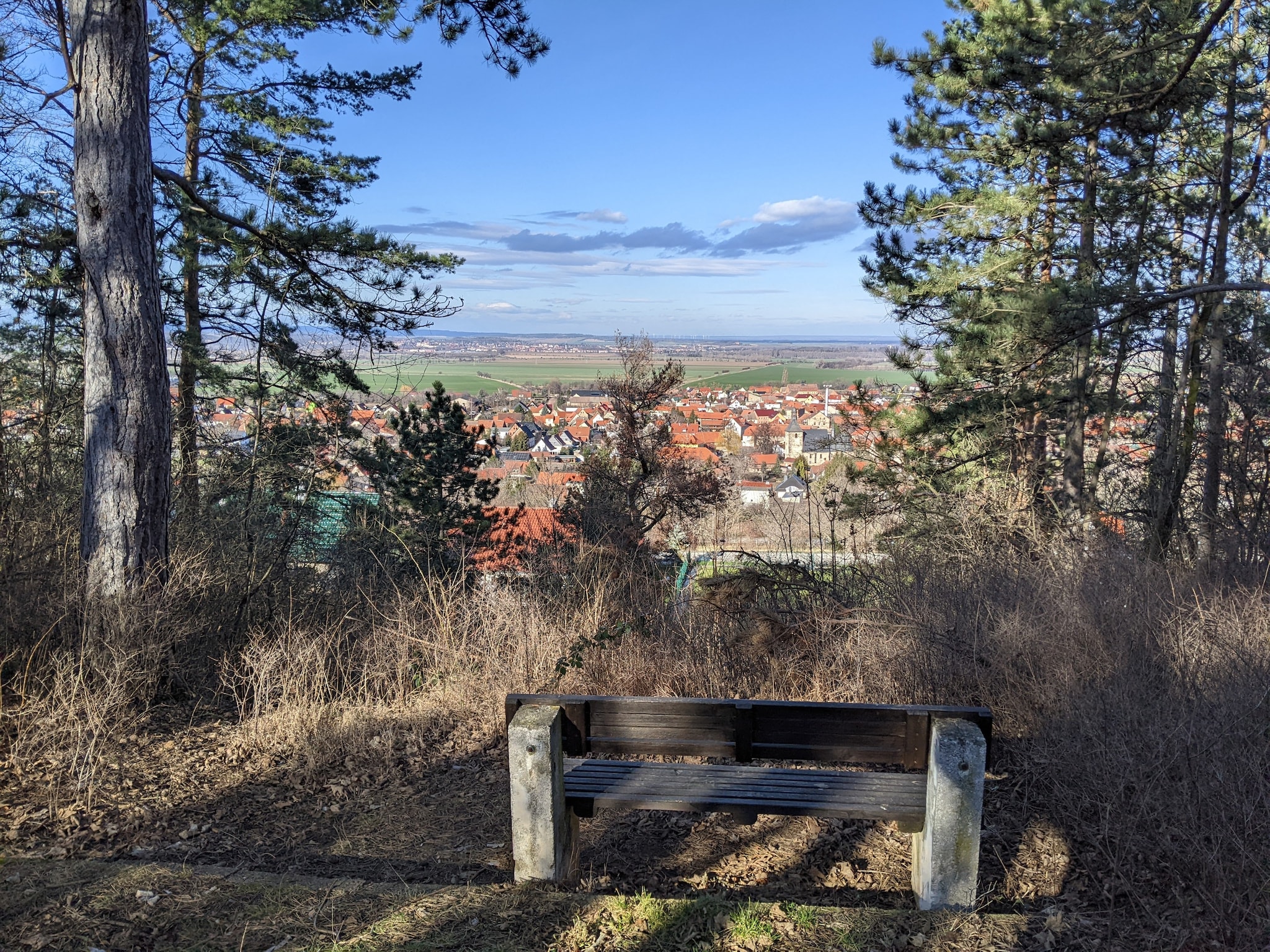   Ferienhaus Ballenstedt