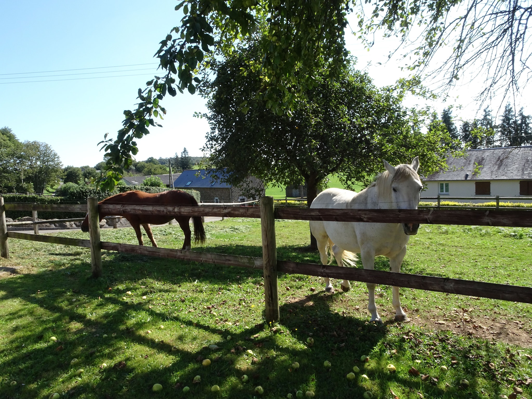   Ferienhaus Saint Ovin