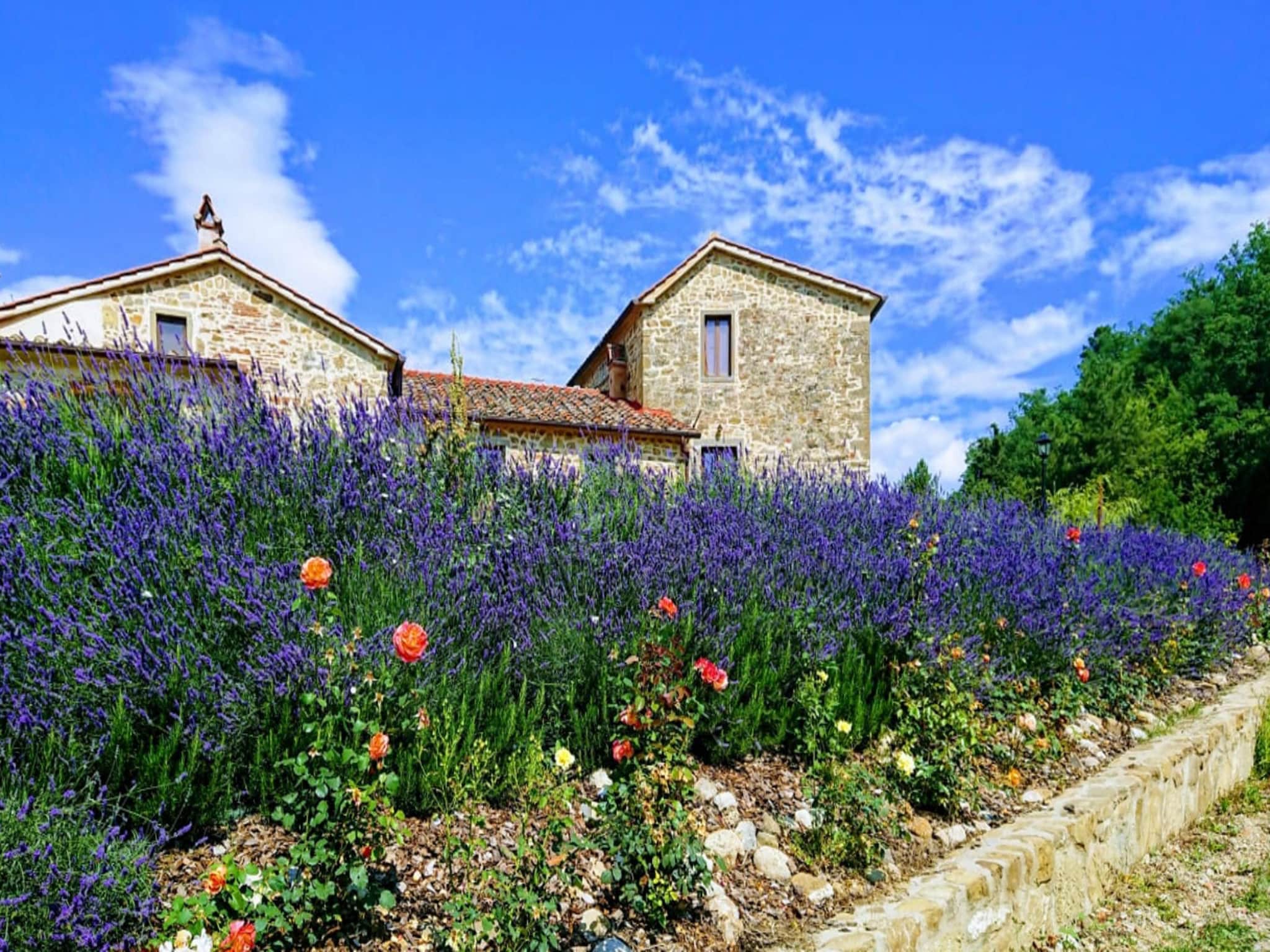   Borgo Macereto