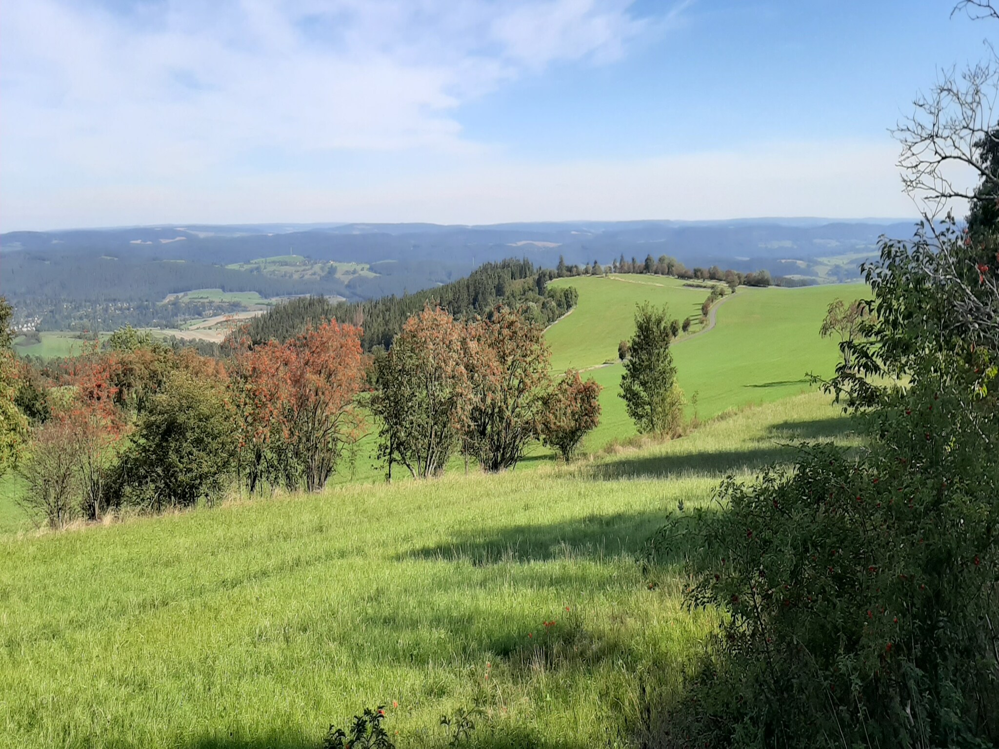   Gasse