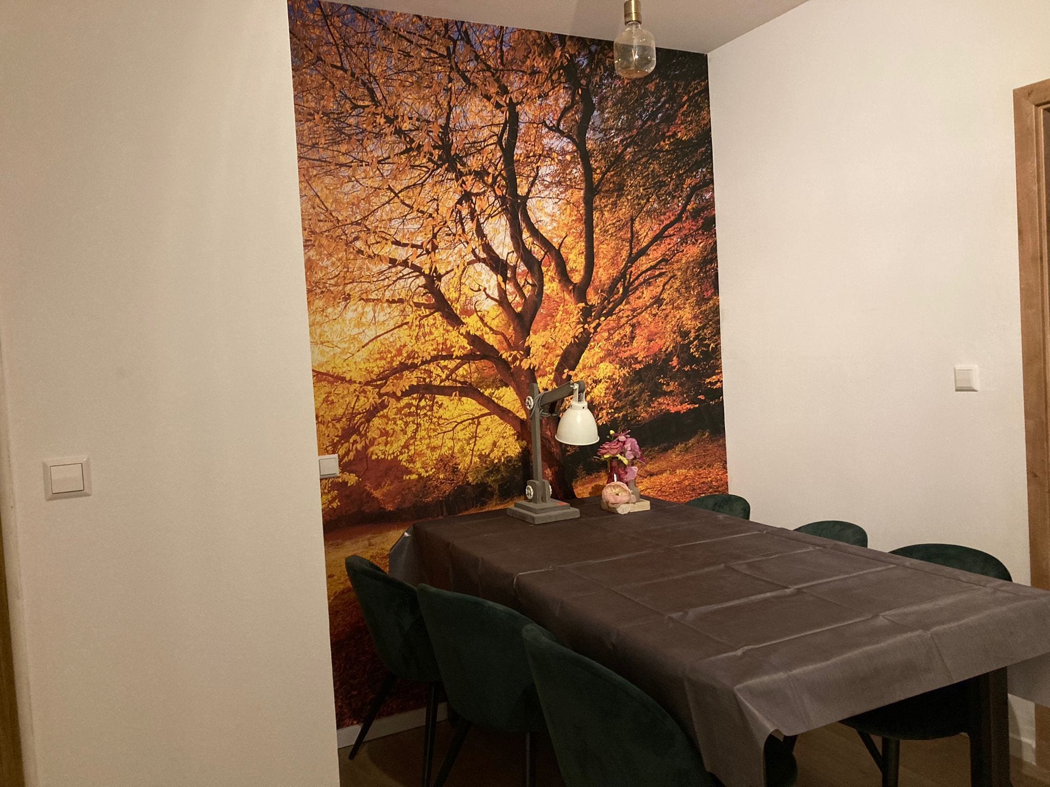 Ferienwohnung Die Alte Poststelle