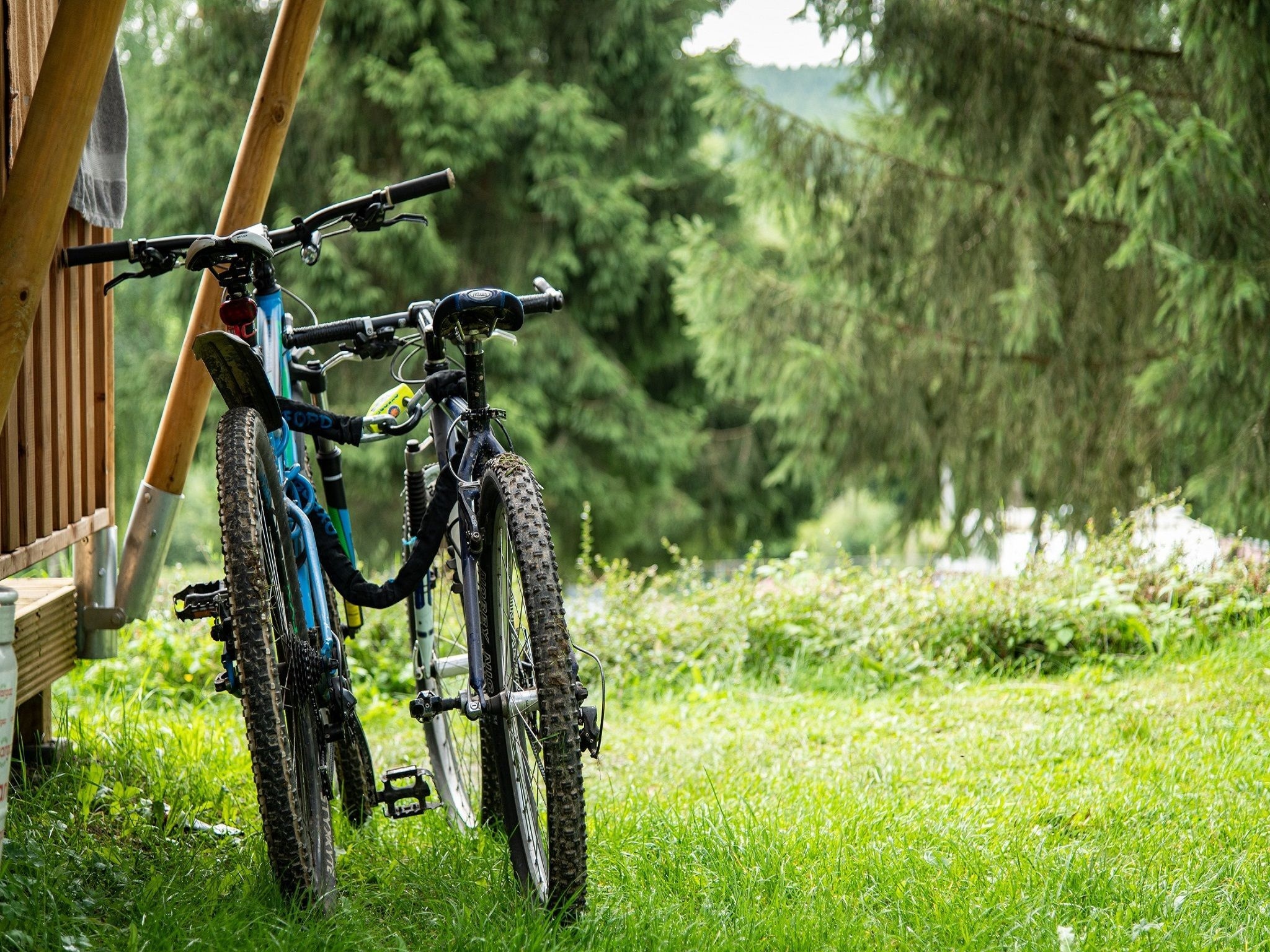 Ferienwohnung Camping Petite Suisse 3