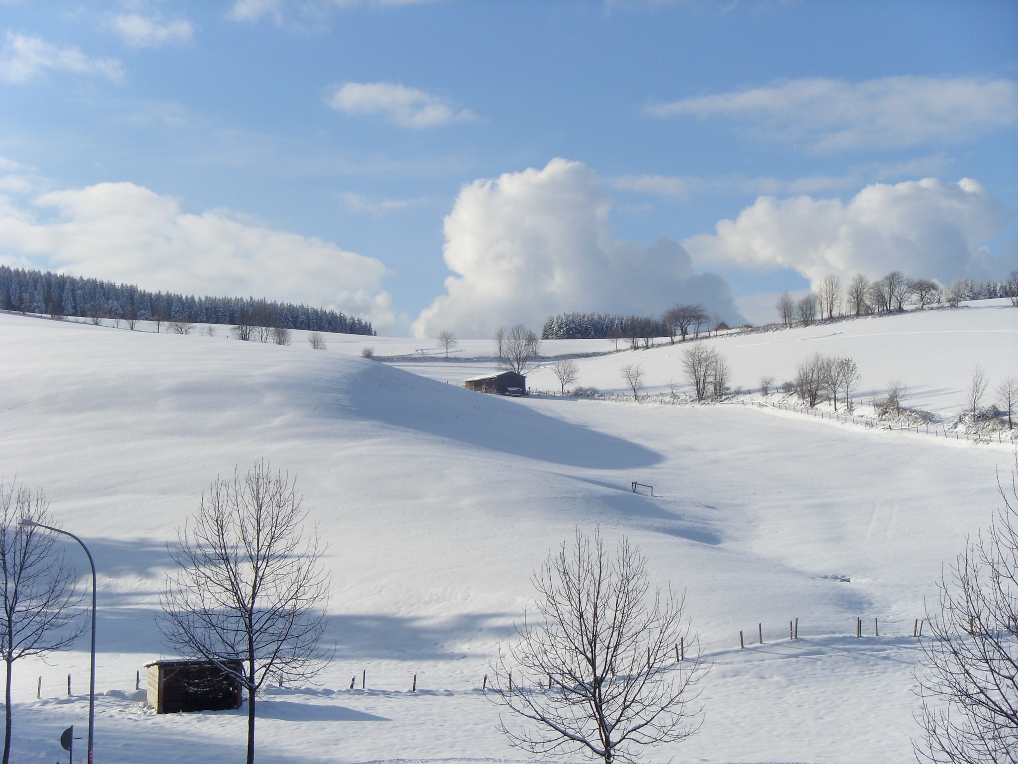 Ferienwohnung Willingen
