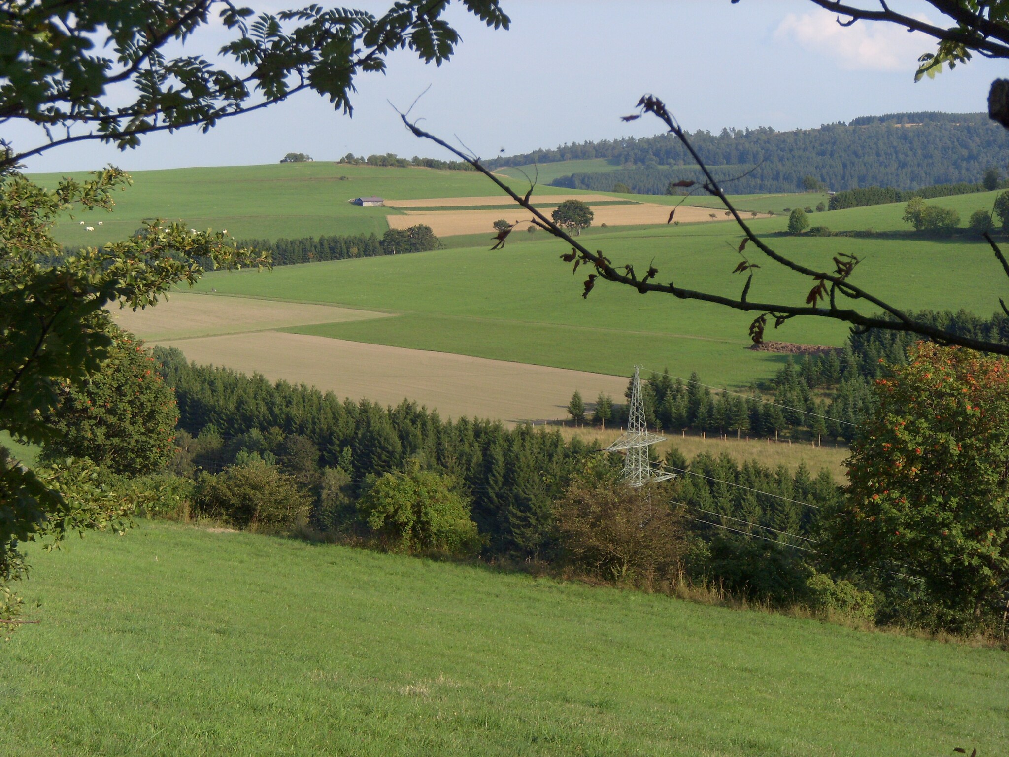 Ferienwohnung Willingen
