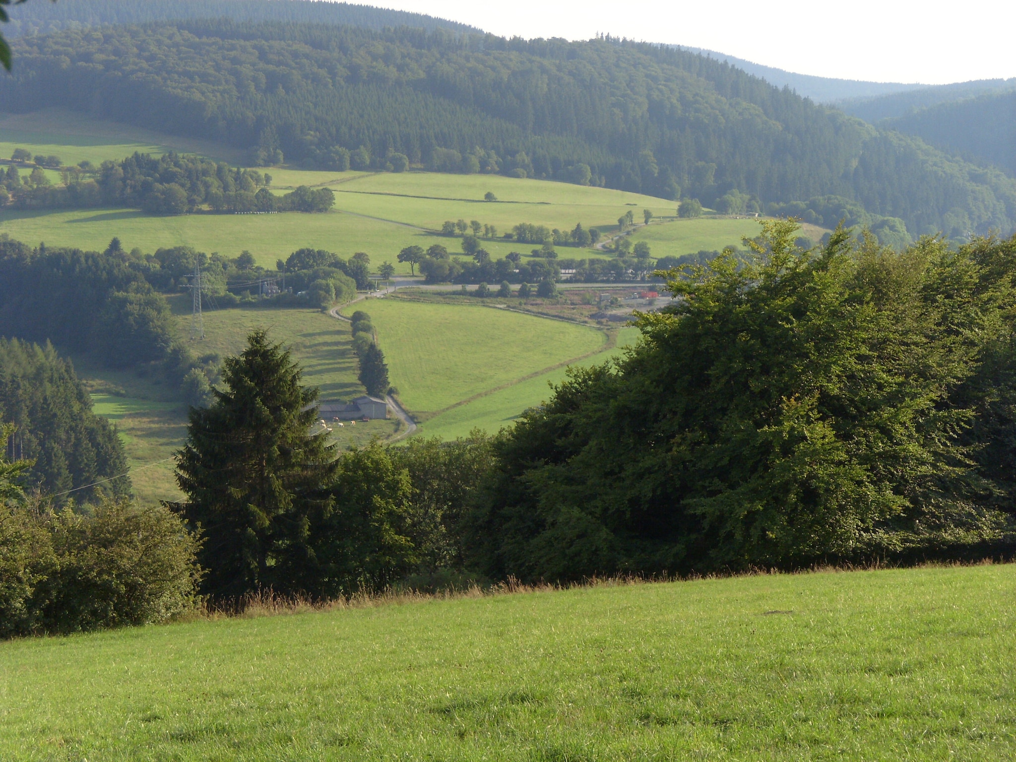 Ferienwohnung Willingen