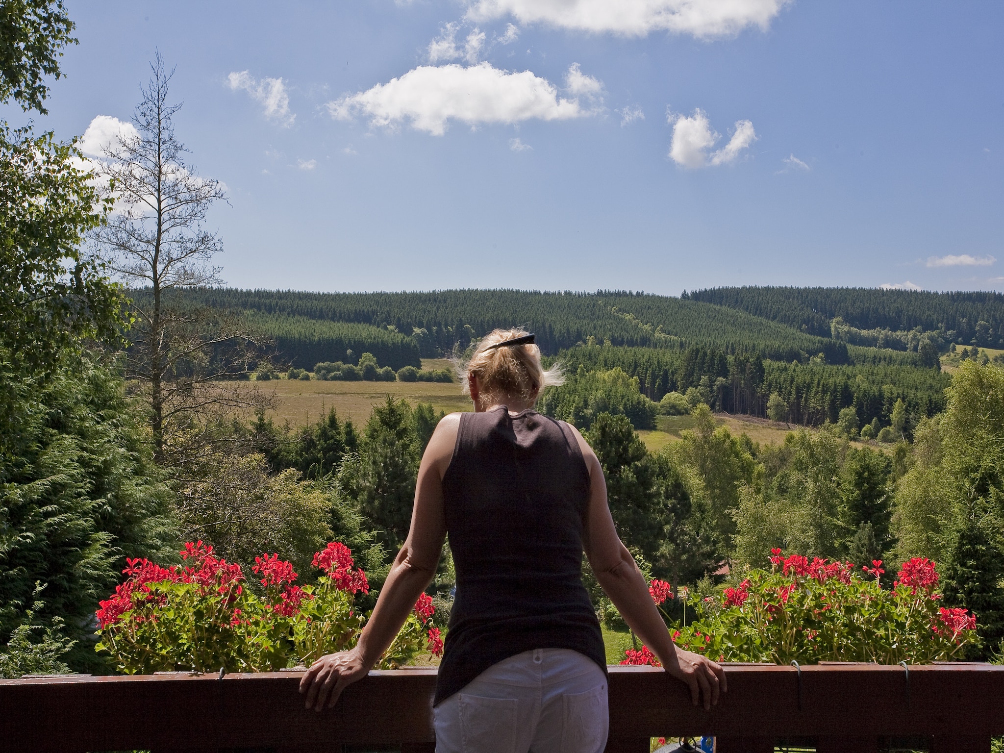  Camping Petite Suisse 6