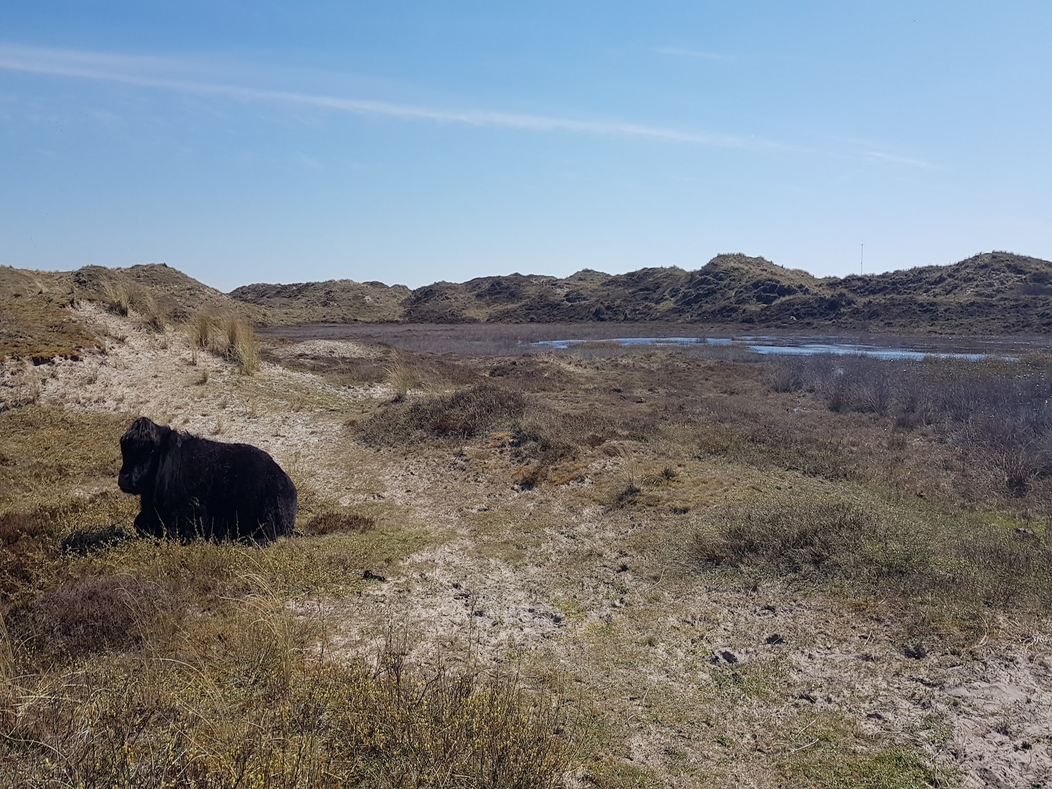   Vakantiehuis De Weide Blick