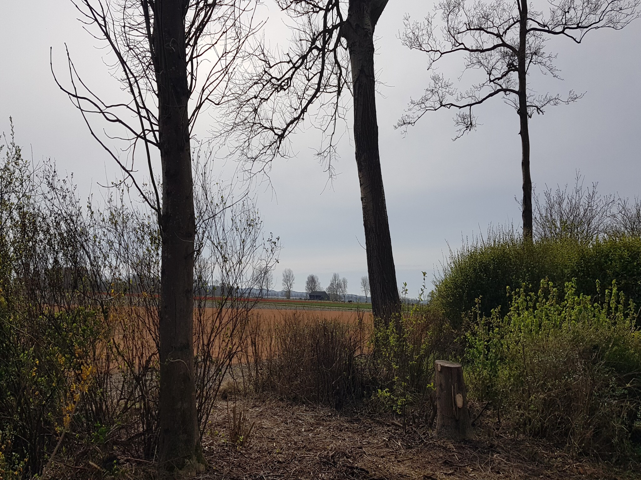   Vakantiehuis De Weide Blick