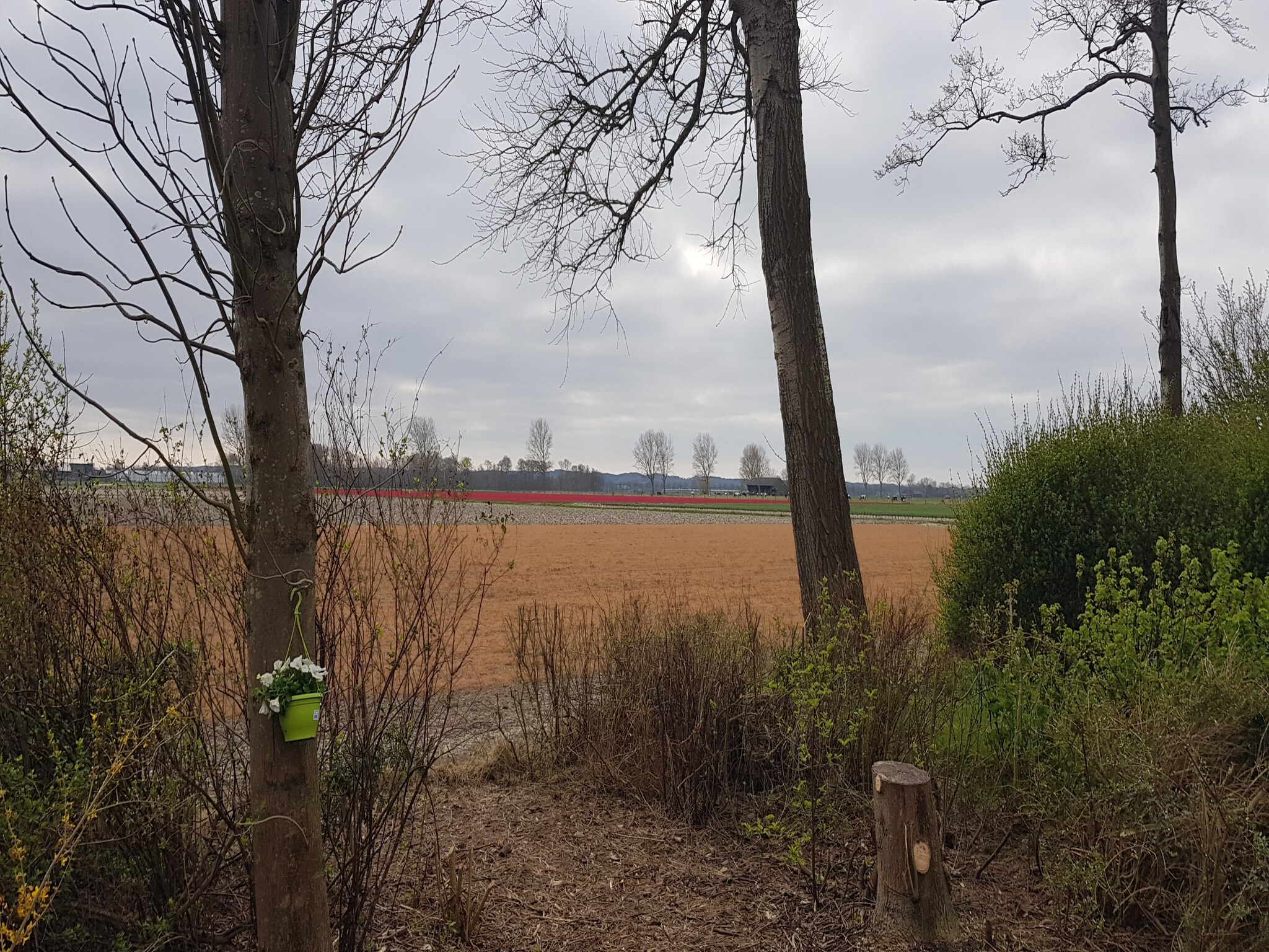   Vakantiehuis De Weide Blick