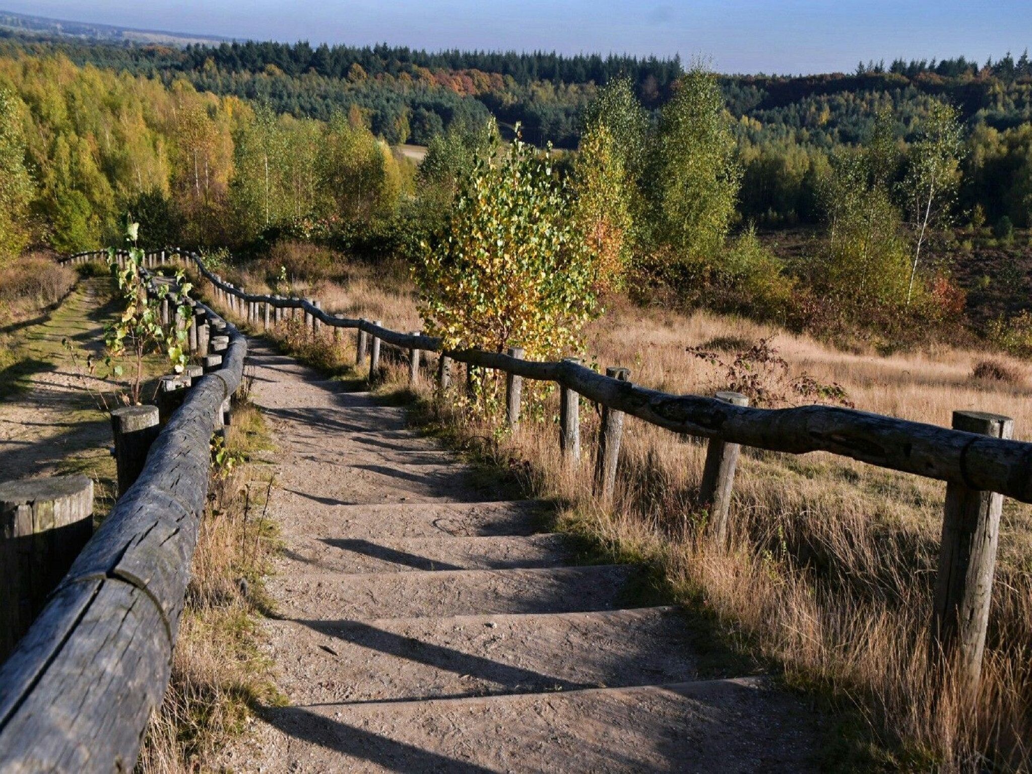 Ferienhaus Vakantiepark De Thijmse Berg 15