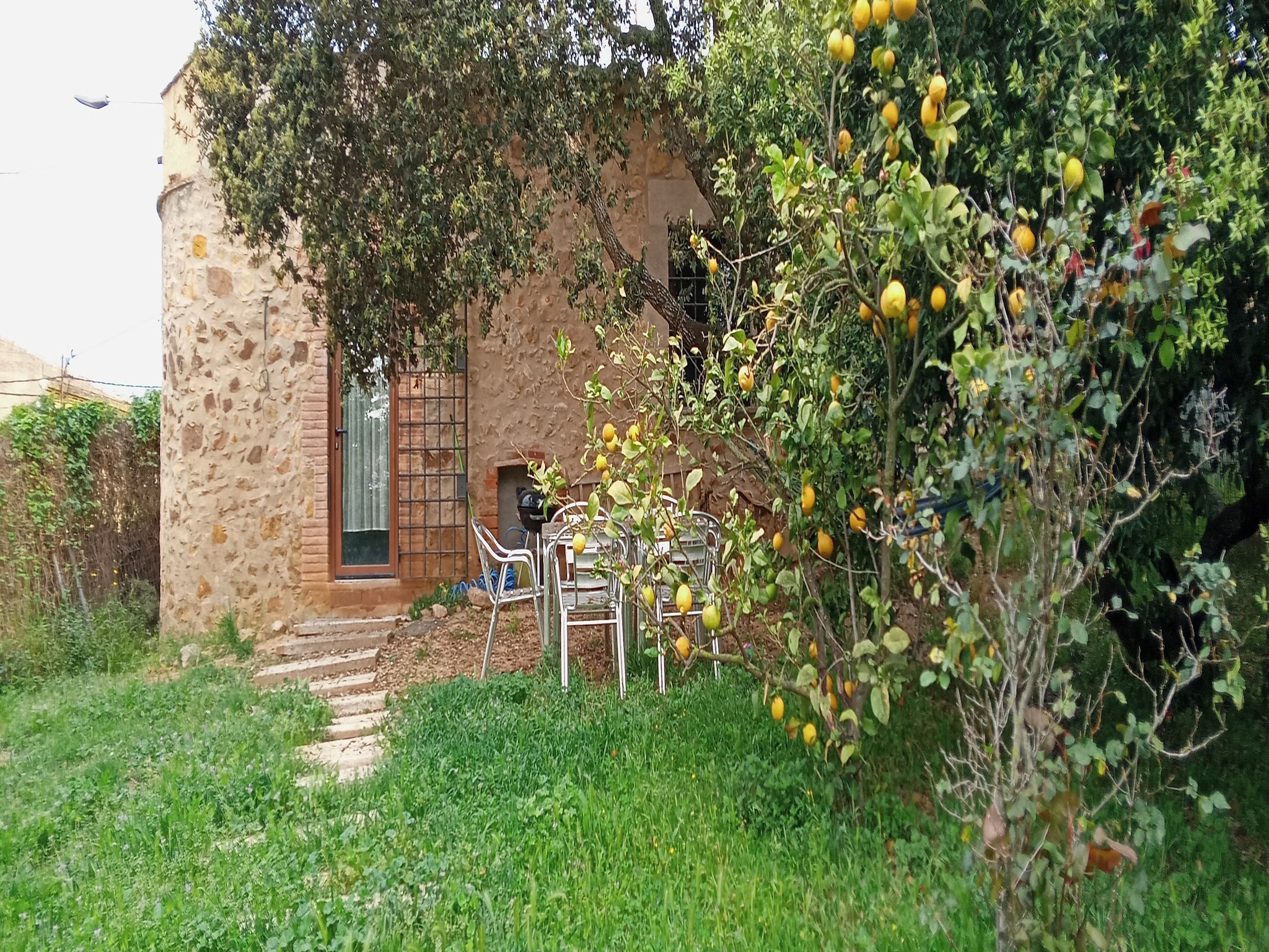   Les Corts de CAL VIRREI
