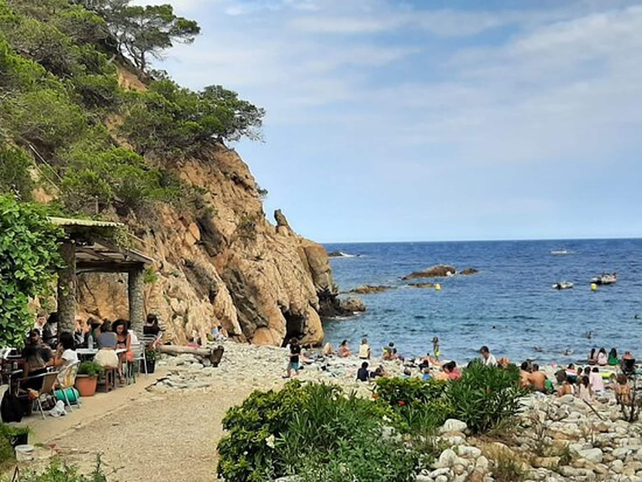   Les Corts de CAL VIRREI