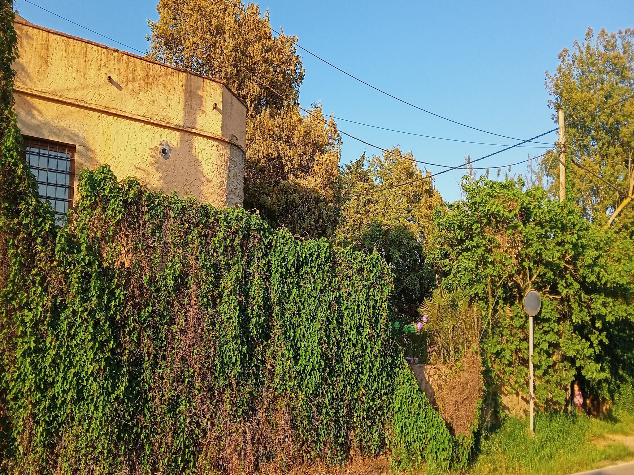   Les Corts de CAL VIRREI