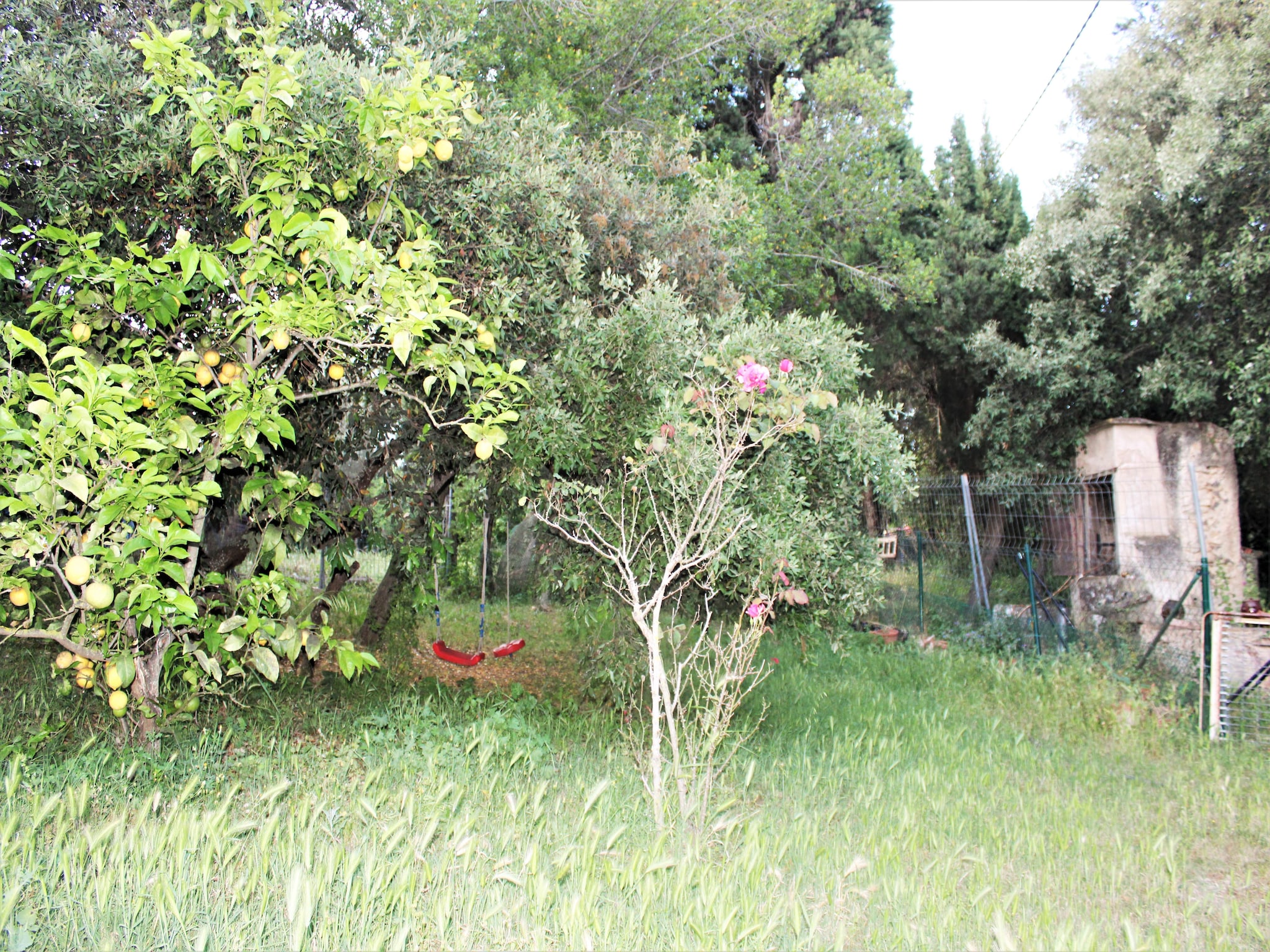   Les Corts de CAL VIRREI