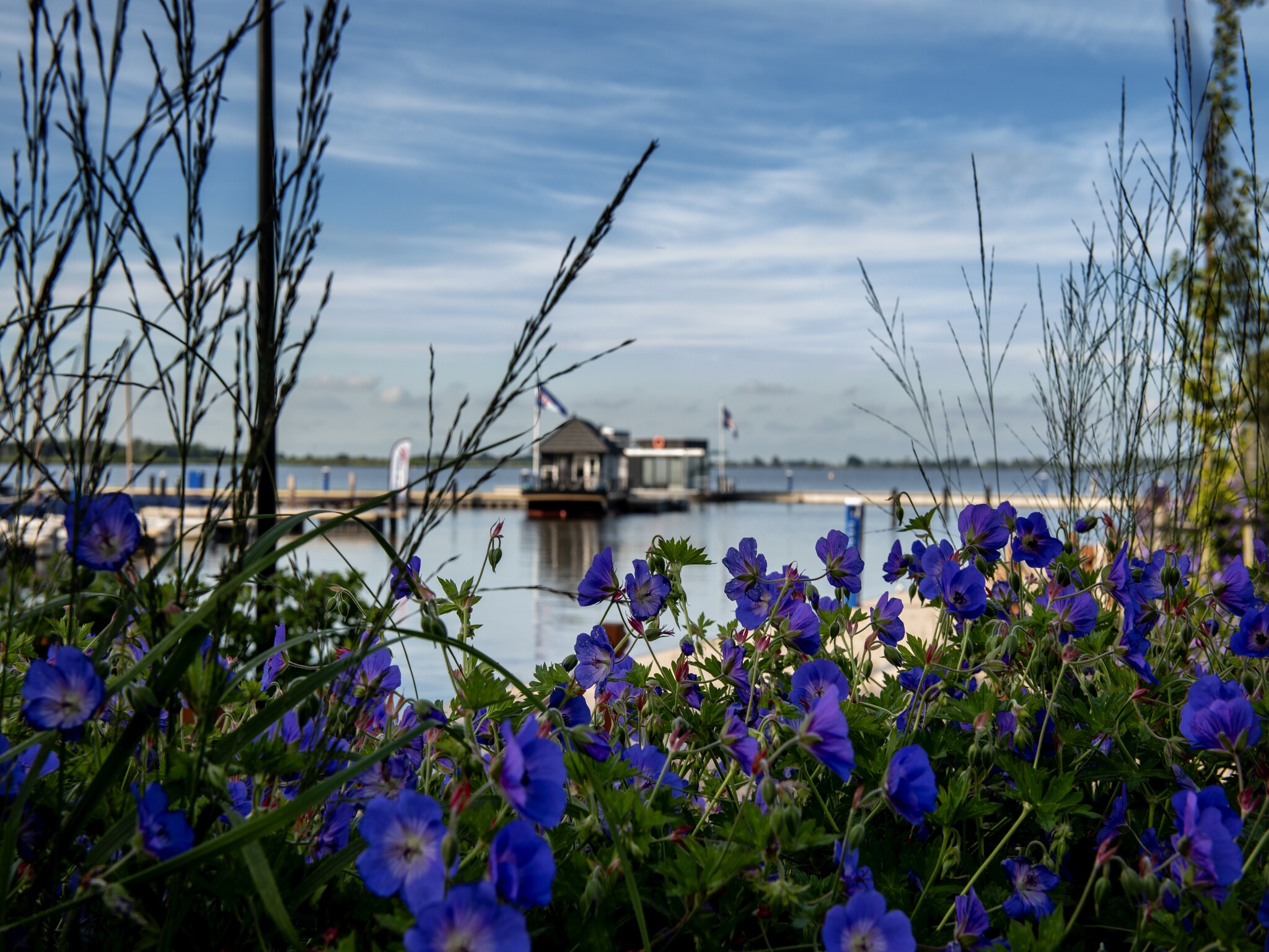   Houseboat Elysium met dakterras