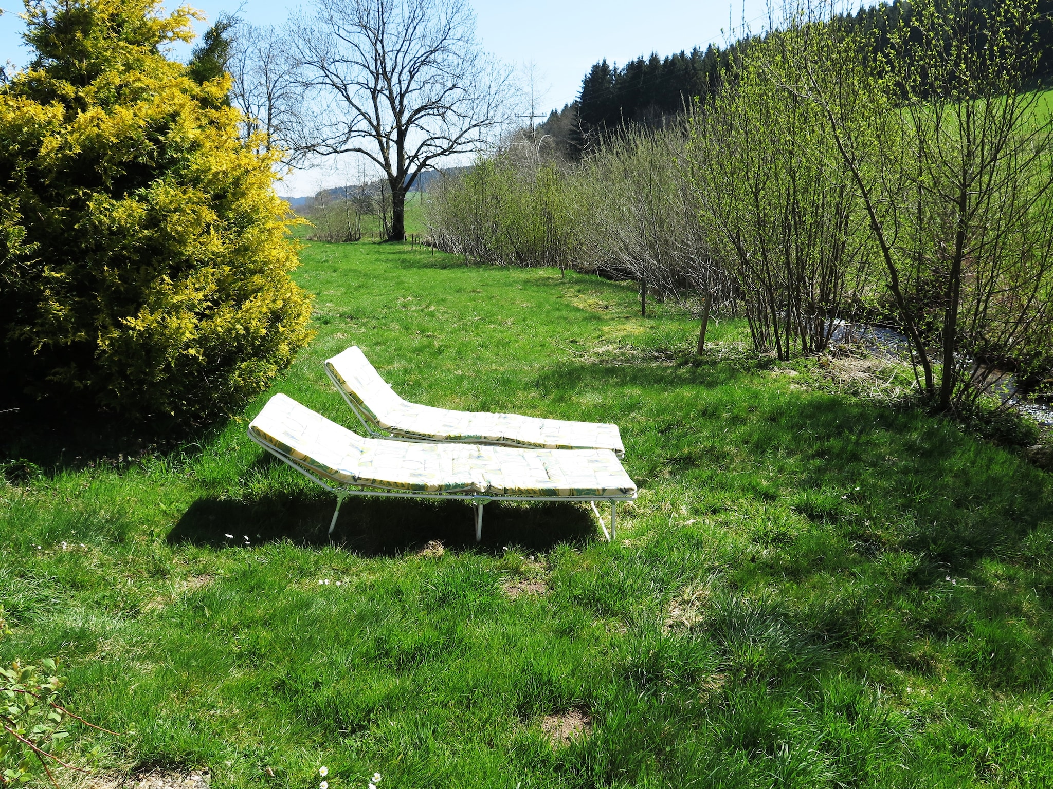   Brigachmühle