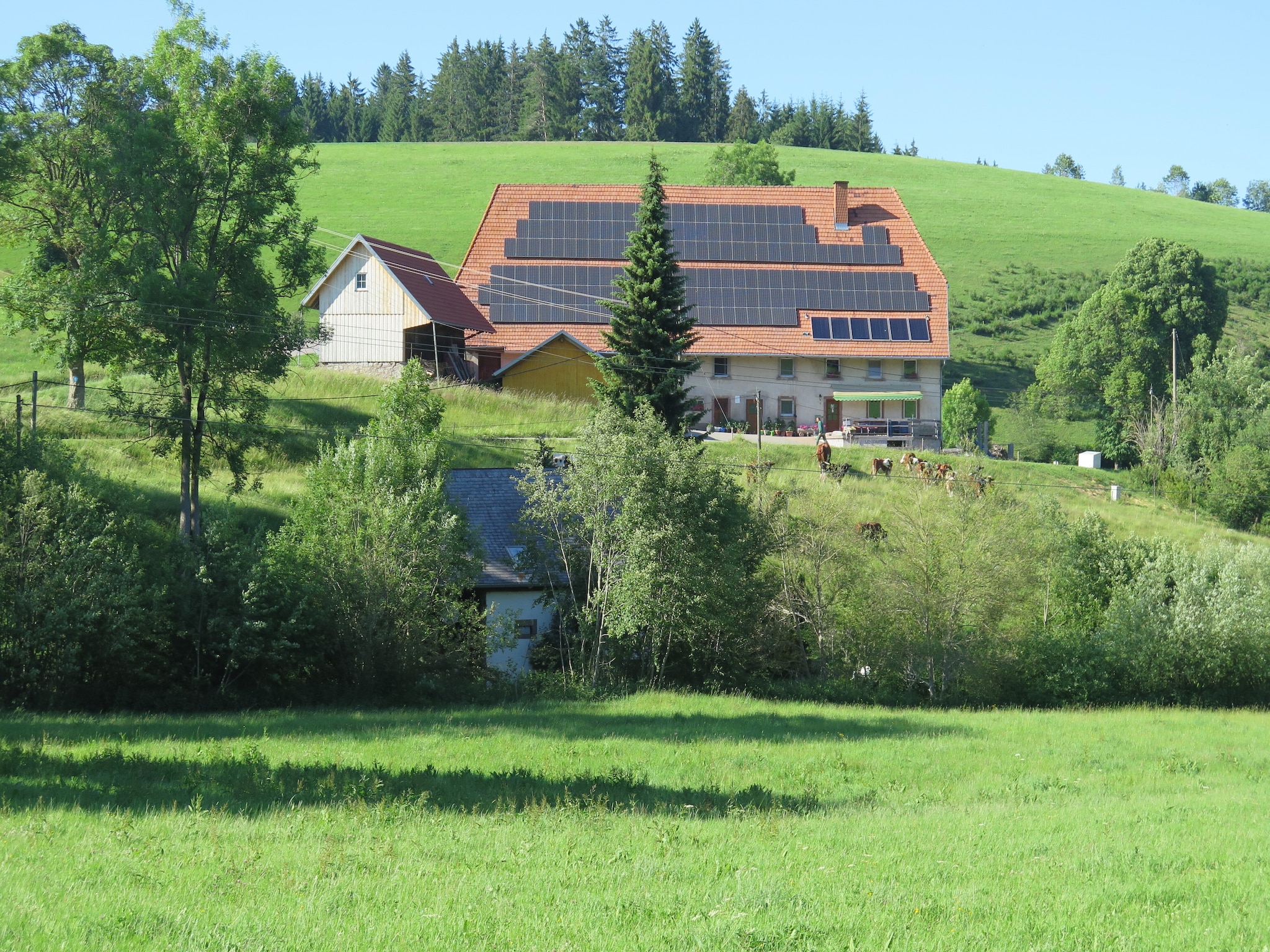   Brigachmühle