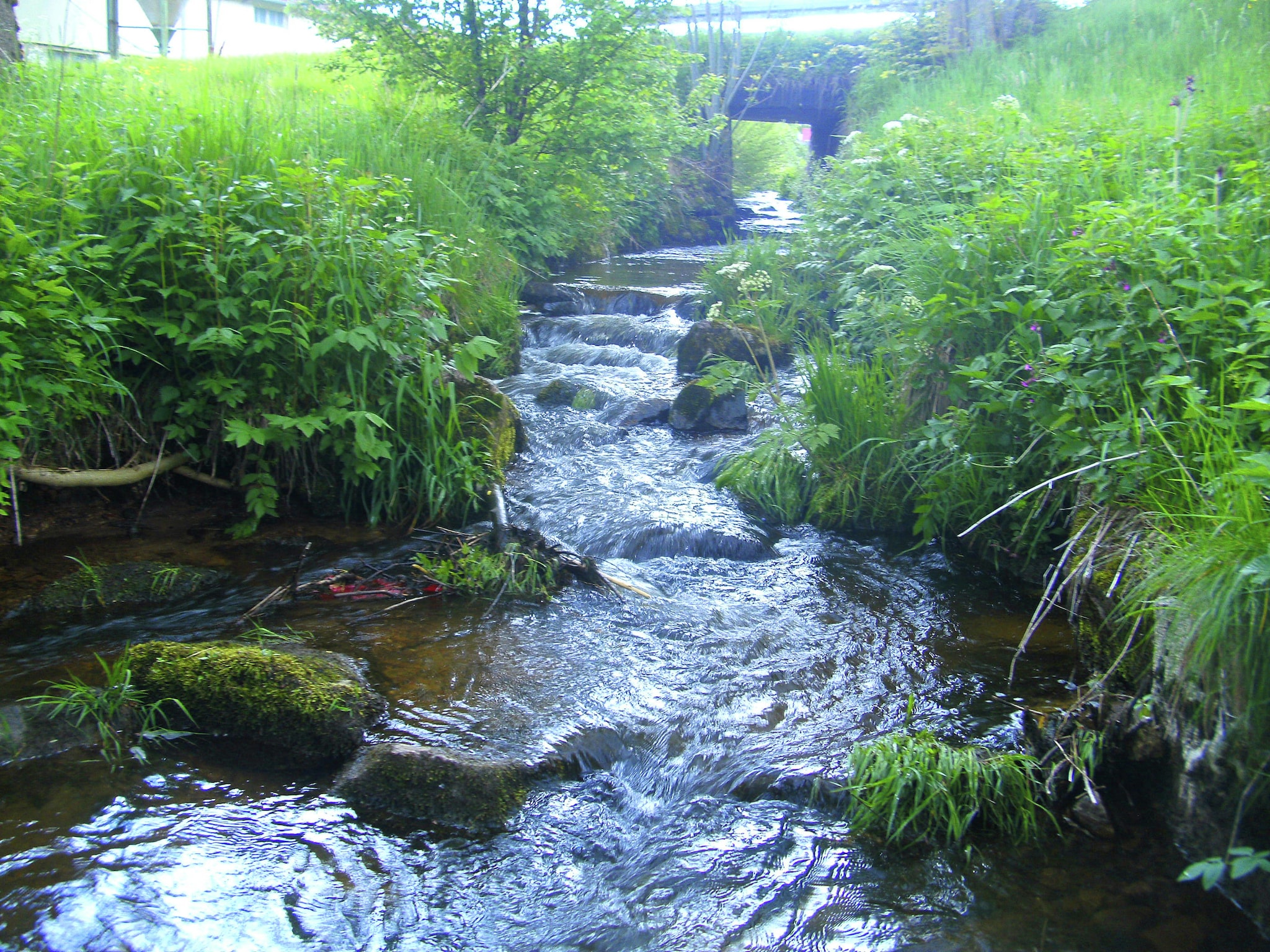   Brigachmühle