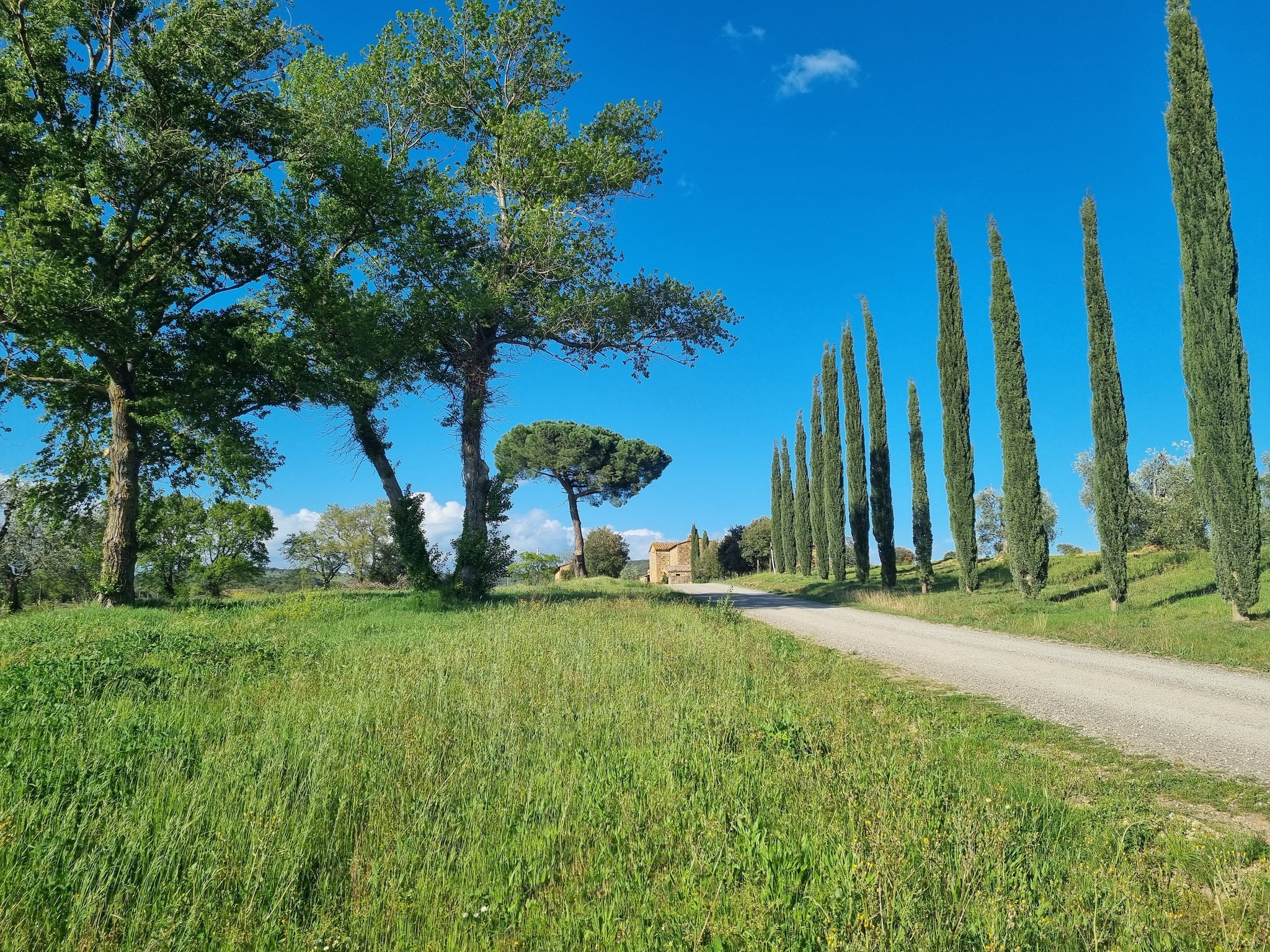   Casanuova di Quercecchio