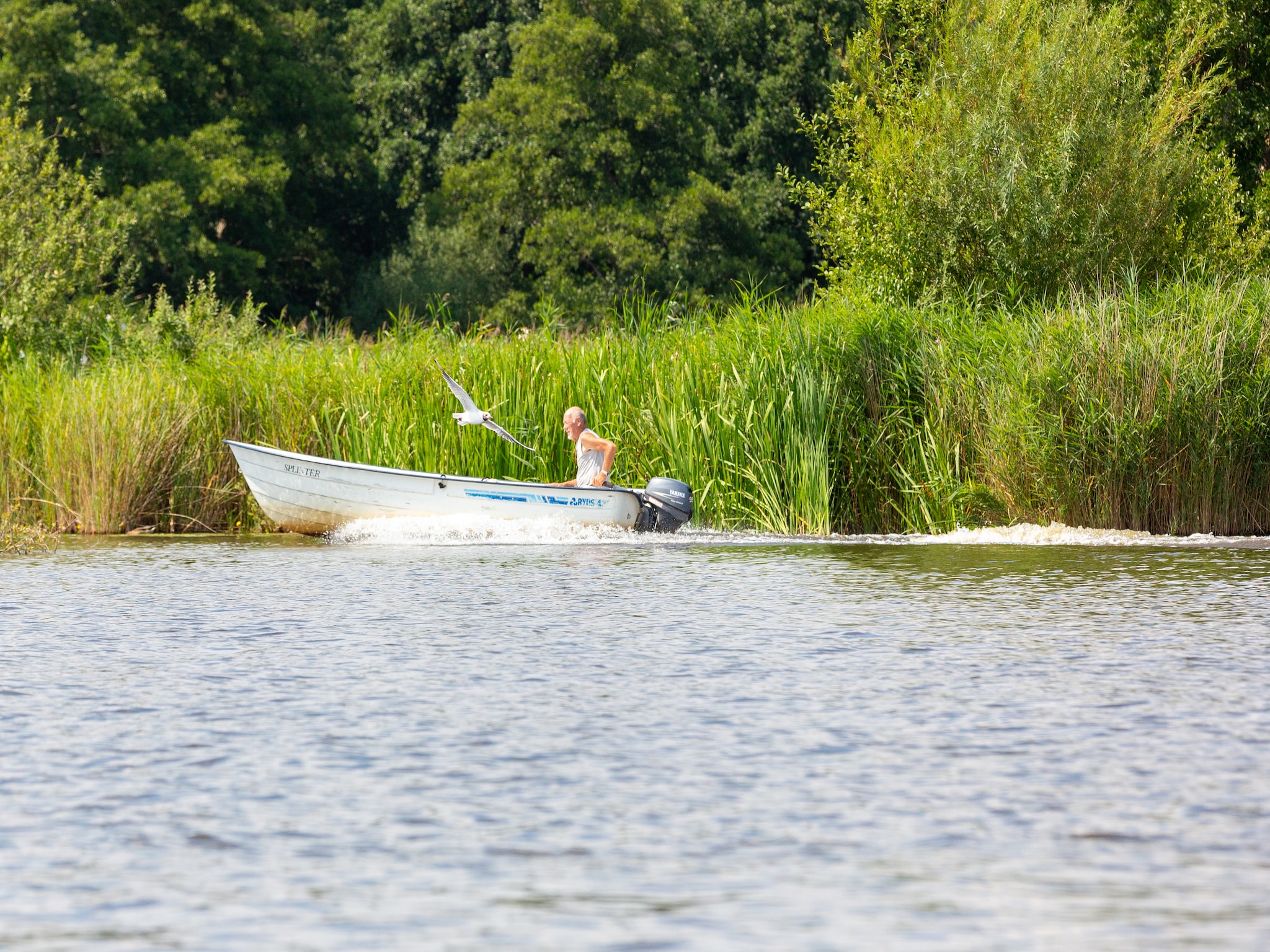 Vacation home Vakantiepark Giethoorn 11