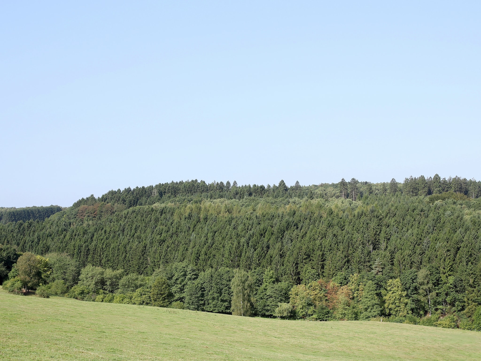 Ferienwohnung Im Westerwald