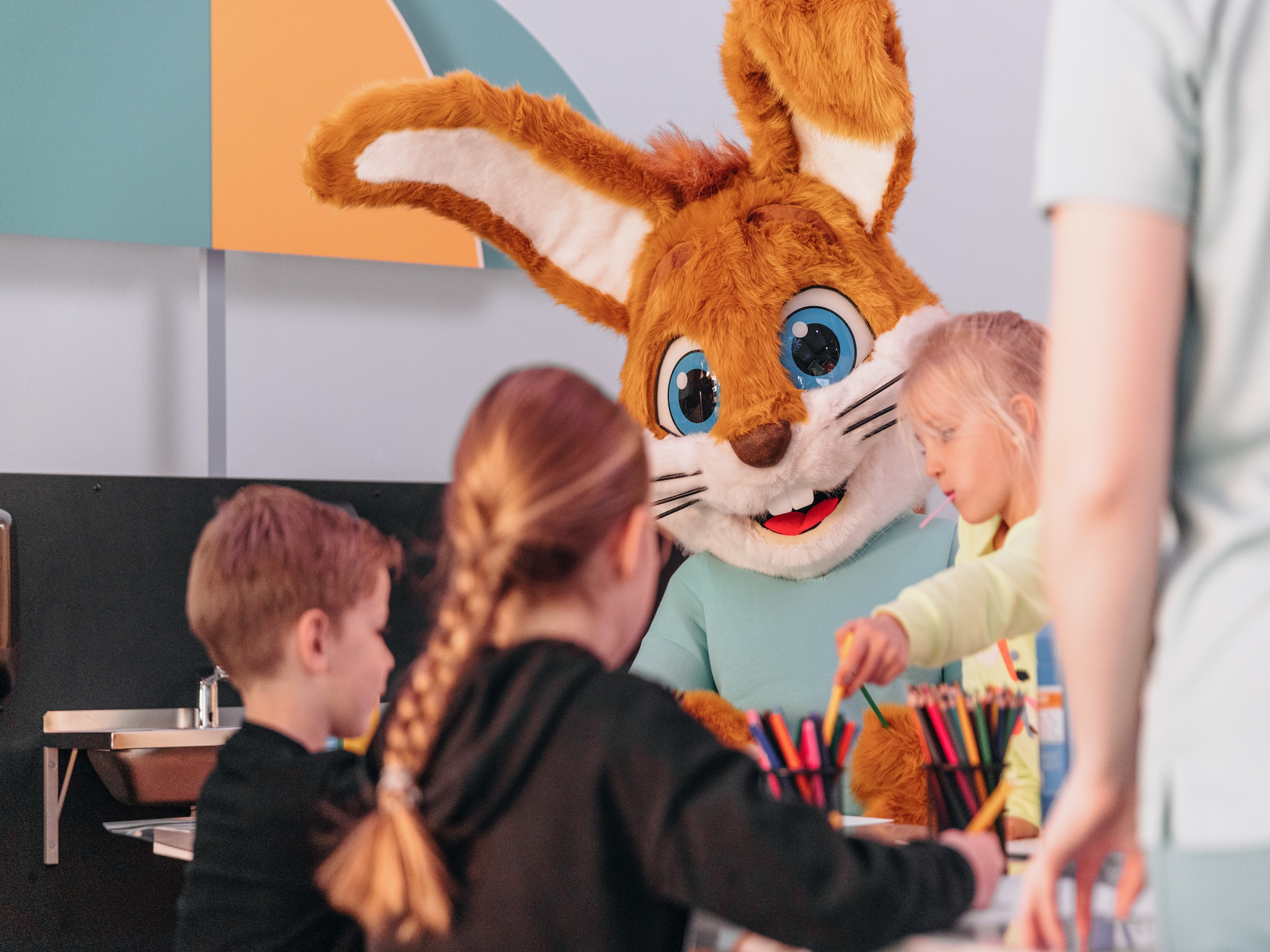   Vakantiepark de Katjeskelder 22